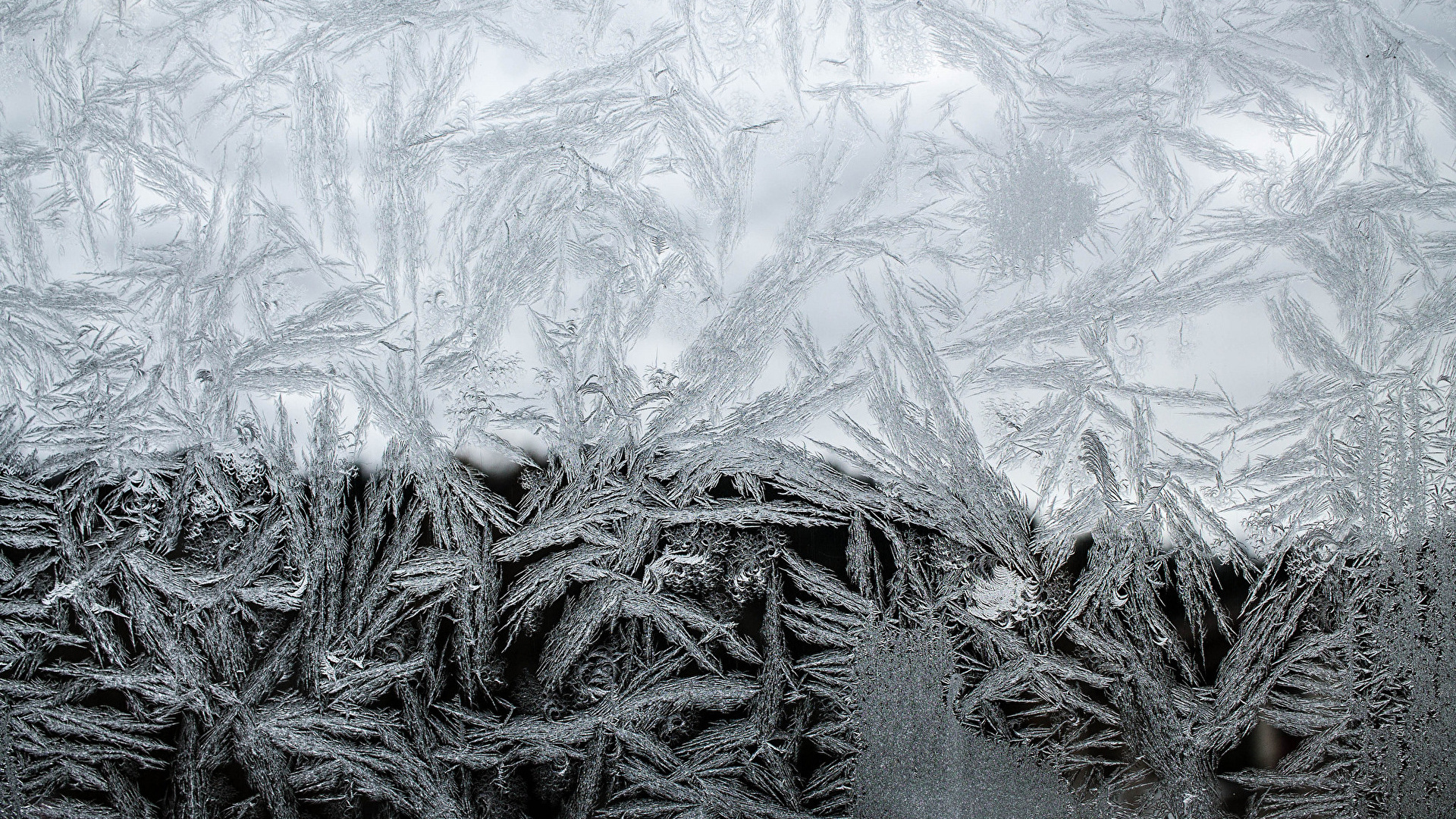 Обои орнамент, черный и белый, зима, текстура, мороз в разрешении 1920x1080