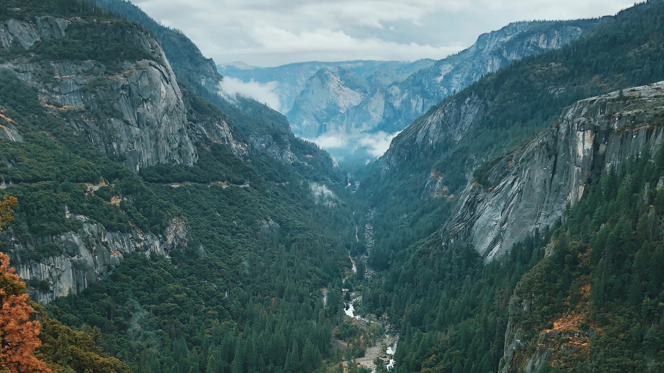 Обои йосемитский национальный парк, национальный парк, нагорье, Долина, горный хребет в разрешении 2560x1440