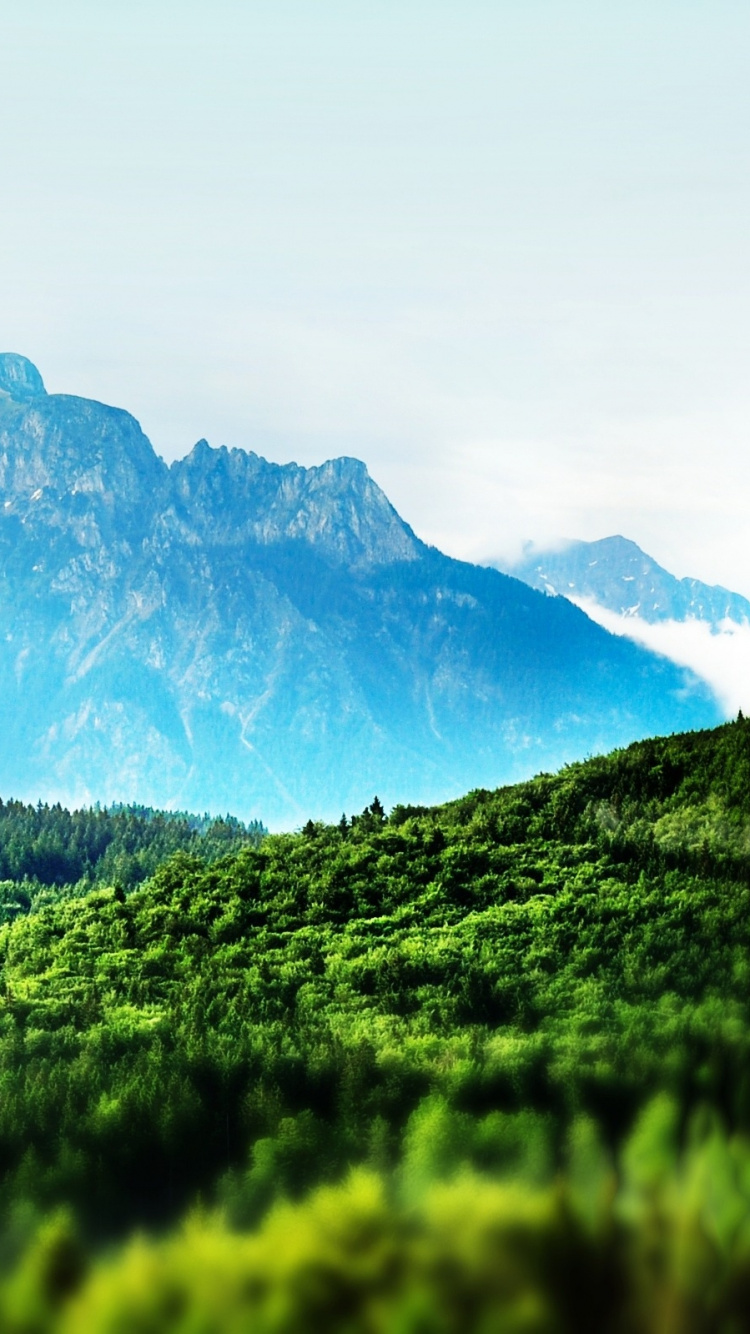 Обои природа, нагорье, горная станция, растительность, горный хребет в разрешении 750x1334