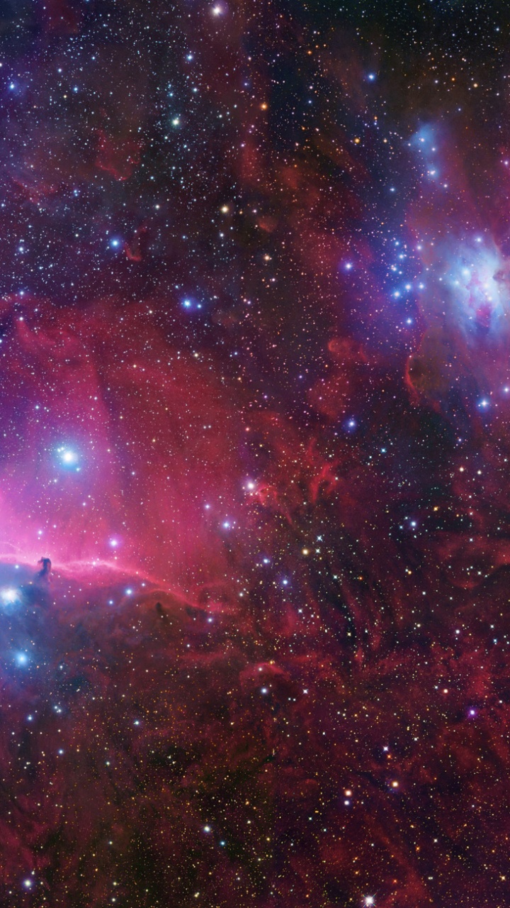 Обои Орион, Туманность Ориона, туманность, звезда, Пояс Орионс в разрешении 720x1280