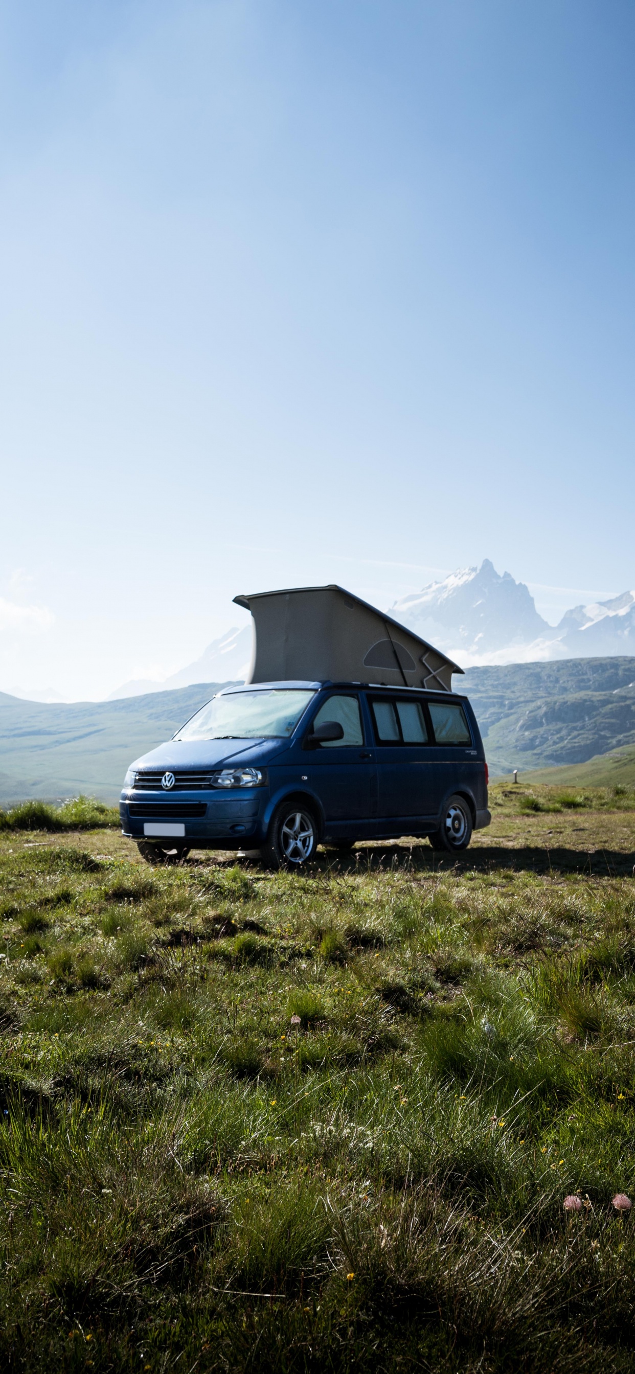 Обои volkswagen type 2, авто, фургон, Автодома, автомобиль в разрешении 1242x2688