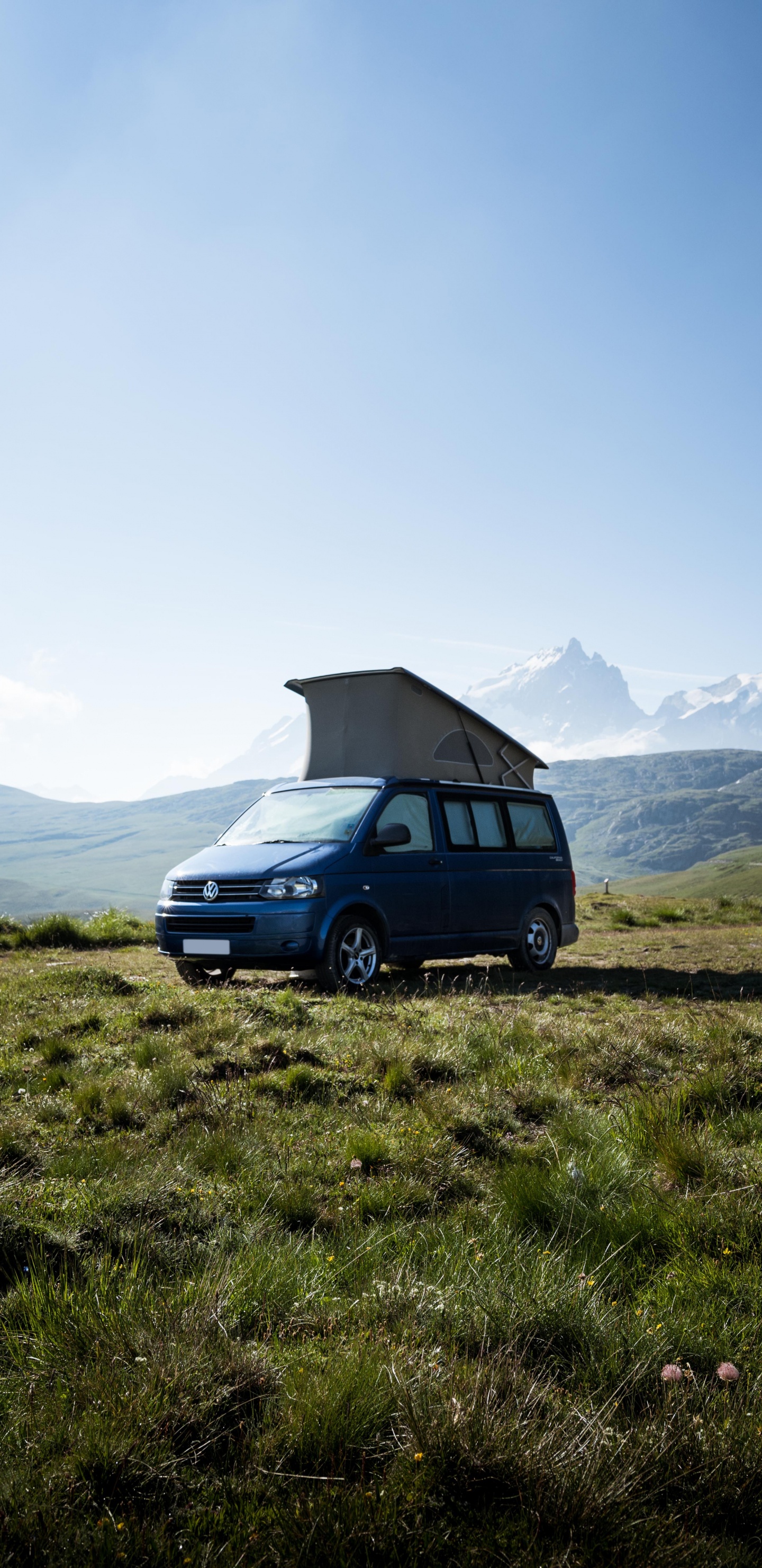 Обои volkswagen type 2, авто, фургон, Автодома, автомобиль в разрешении 1440x2960