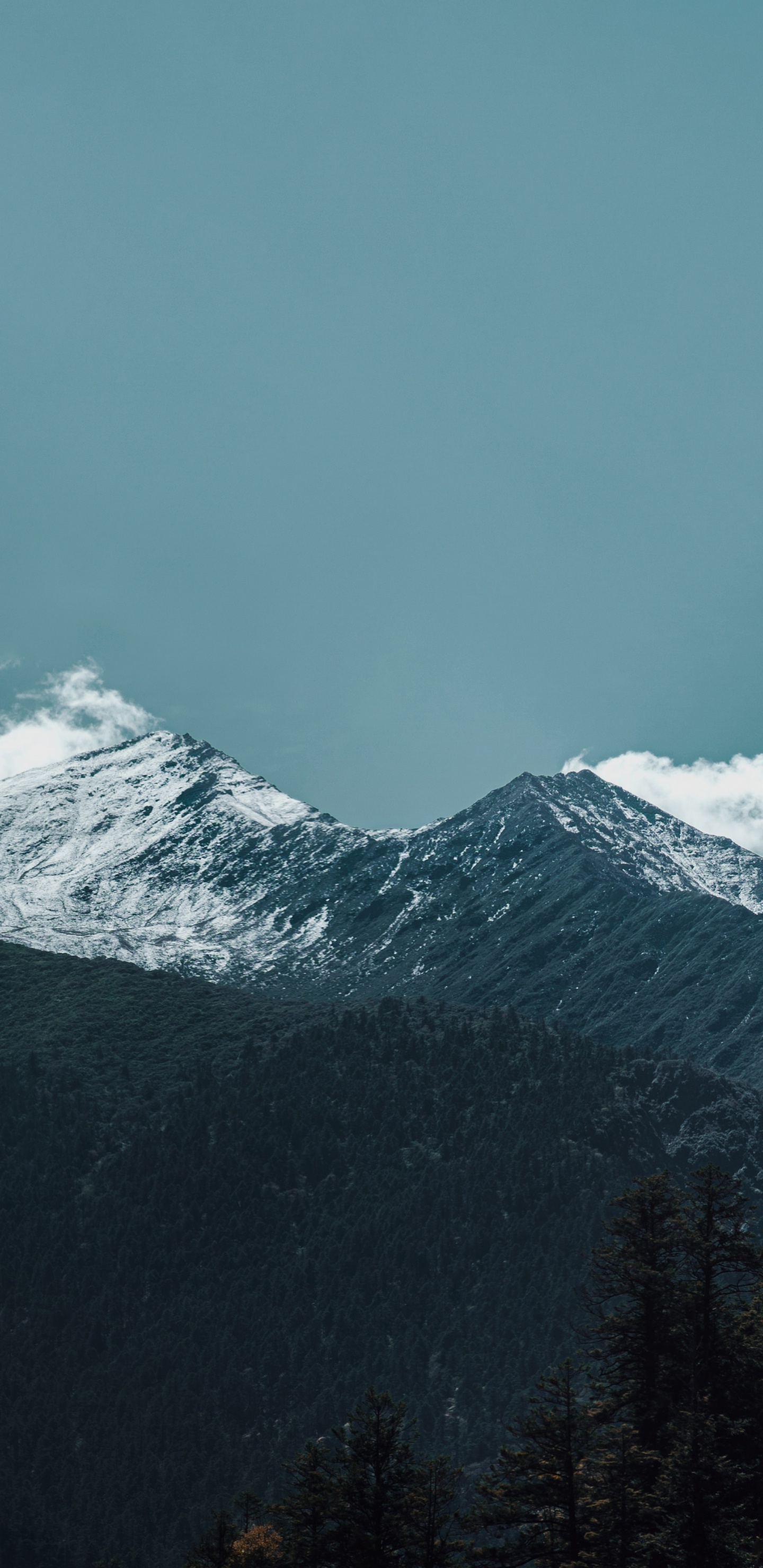 Обои гора, облако, горный хребет, кучевое облако, снег в разрешении 1440x2960