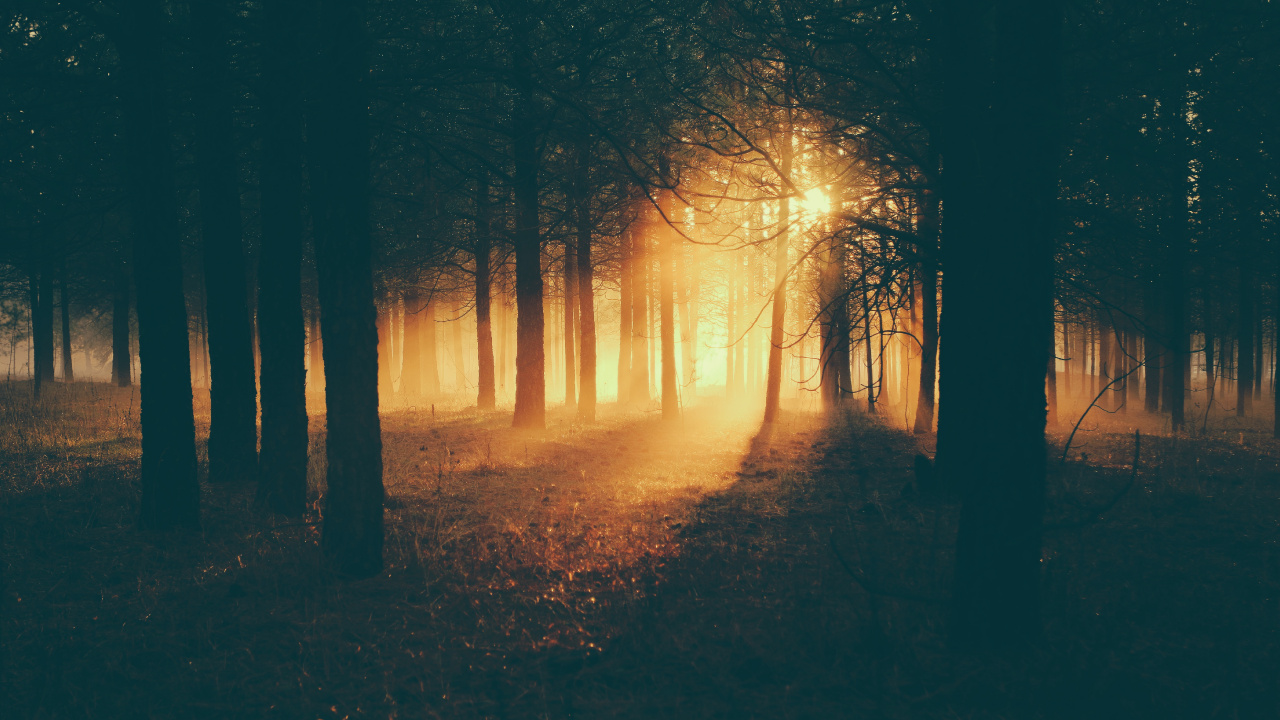 Обои солнечный свет, вода, ночь, синий, окружающая среда в разрешении 1280x720