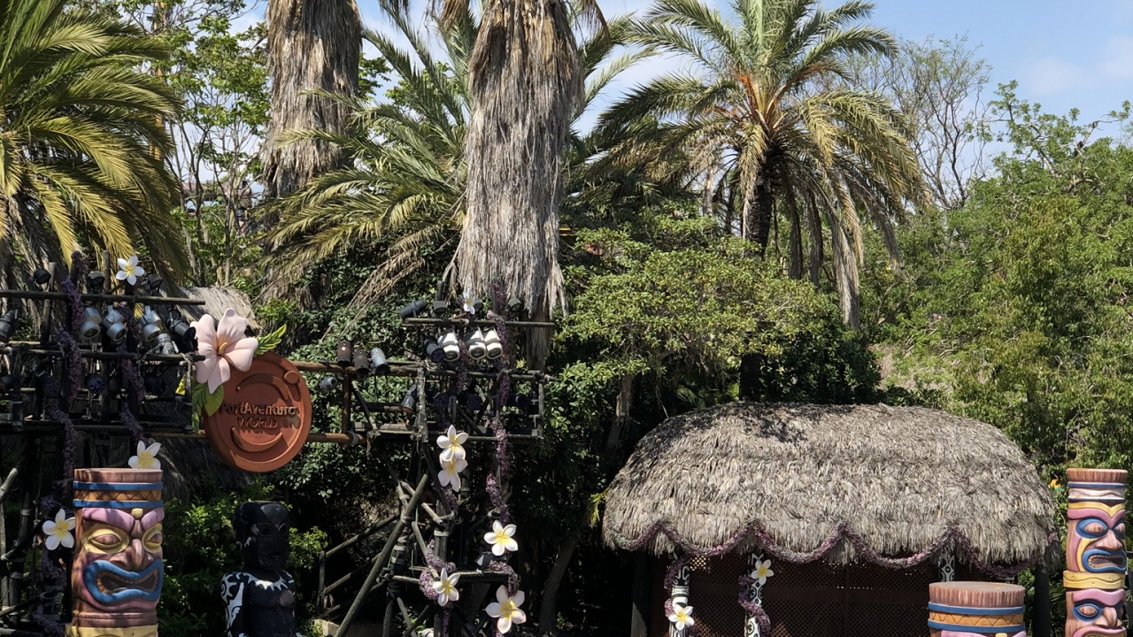 Обои пальмовые рощи, достопримечательность, финиковая пальма, туризм, дерево в разрешении 1280x720