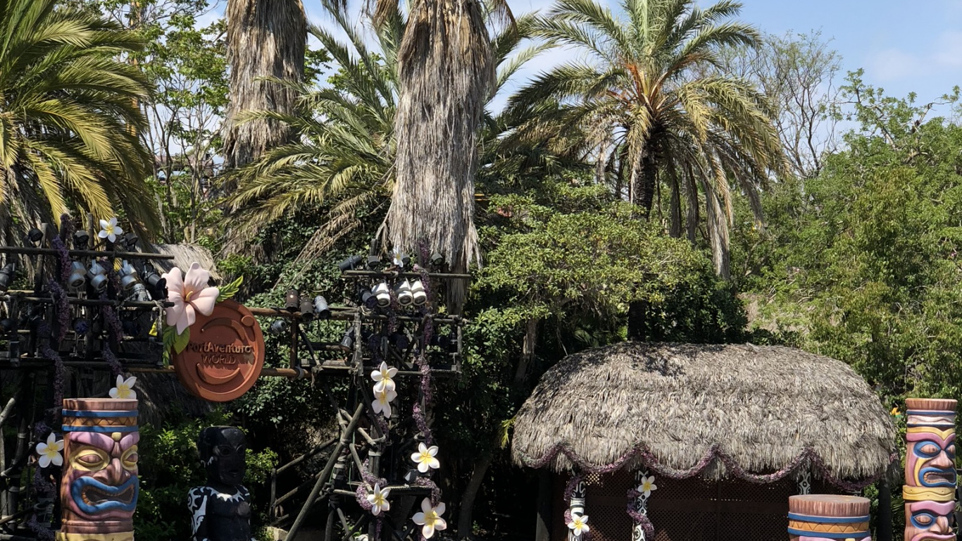 Обои пальмовые рощи, достопримечательность, финиковая пальма, туризм, дерево в разрешении 1366x768