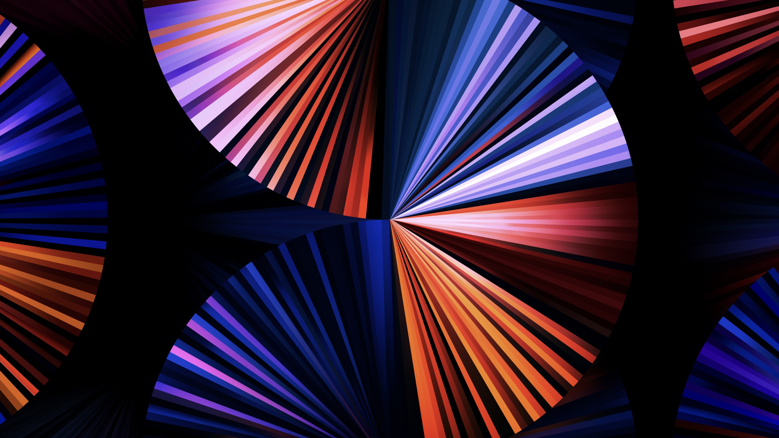 Обои Dark purple fan wallpaper for iPad Pro 12.9″ в разрешении 2560x1440