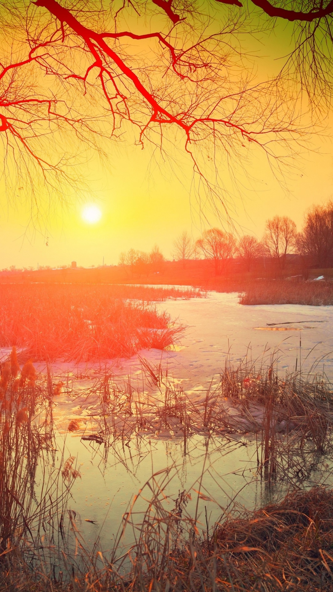 Обои природа, визуальное искусство, музыка для работы, живопись, музыка для изучения в разрешении 1080x1920