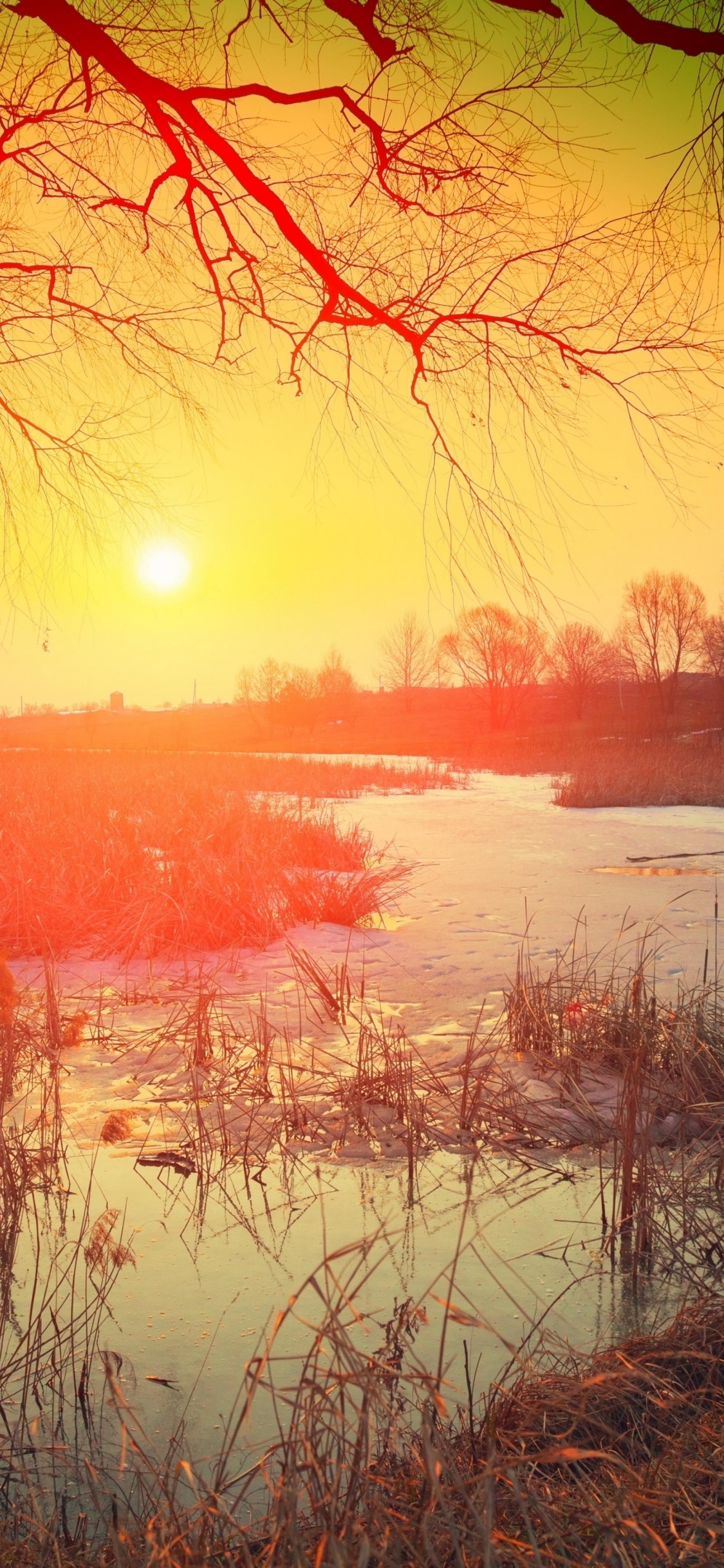 Обои природа, визуальное искусство, музыка для работы, живопись, музыка для изучения в разрешении 1125x2436