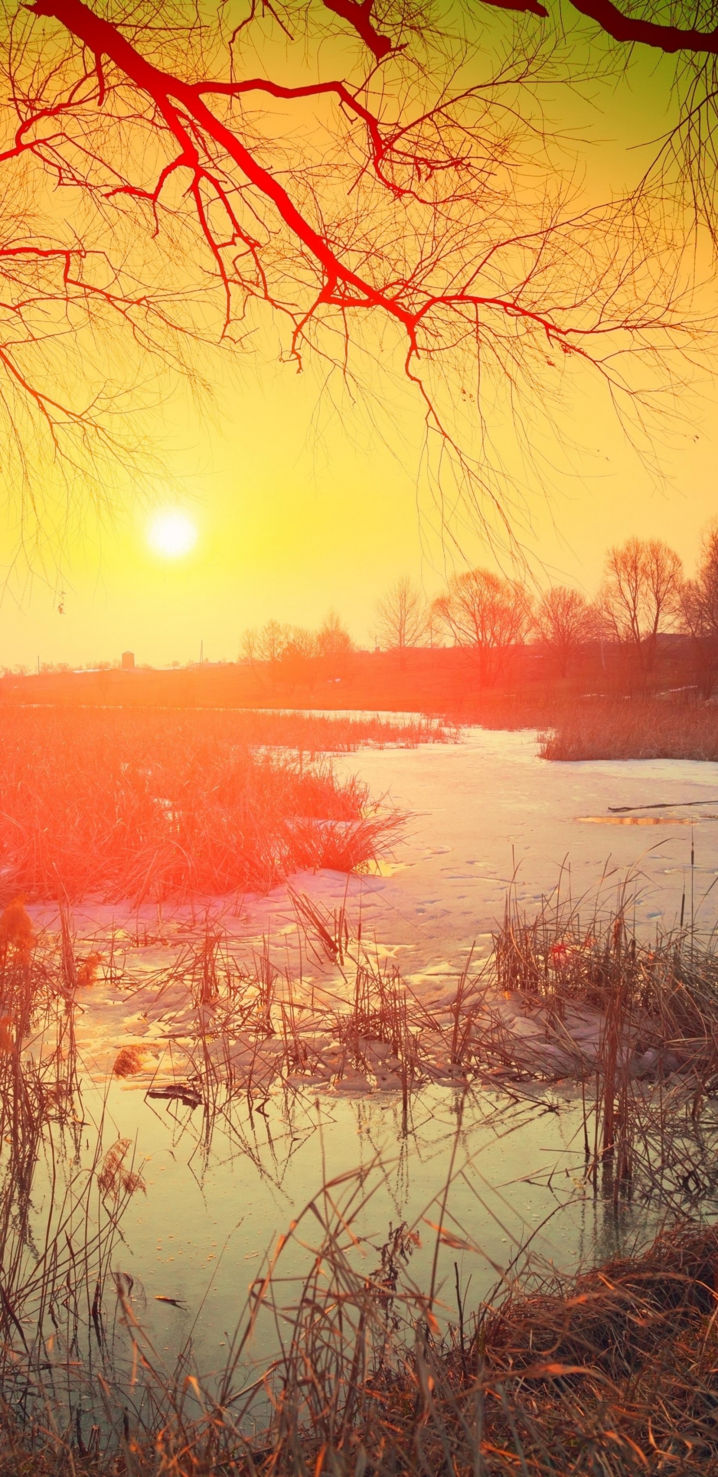 Обои природа, визуальное искусство, музыка для работы, живопись, музыка для изучения в разрешении 1440x2960