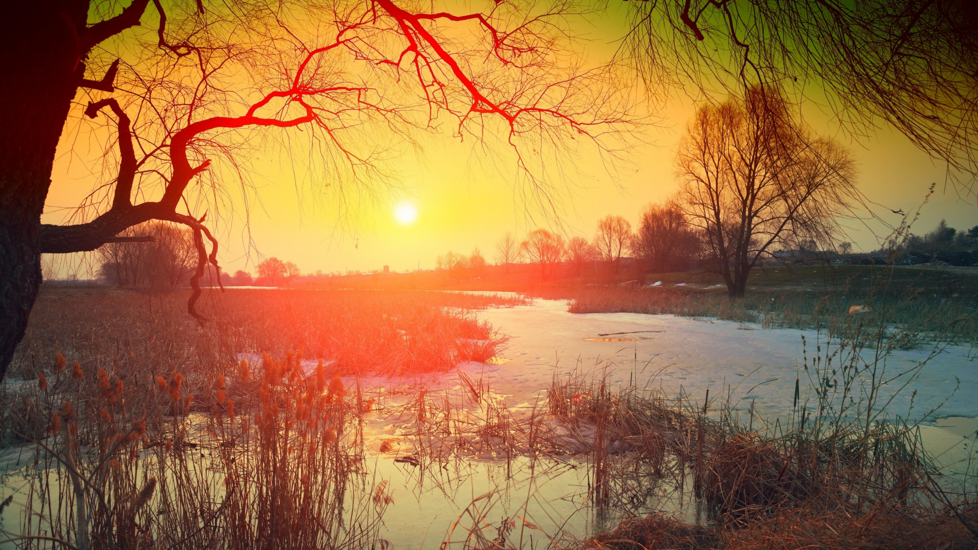 Обои природа, визуальное искусство, музыка для работы, живопись, музыка для изучения в разрешении 1920x1080