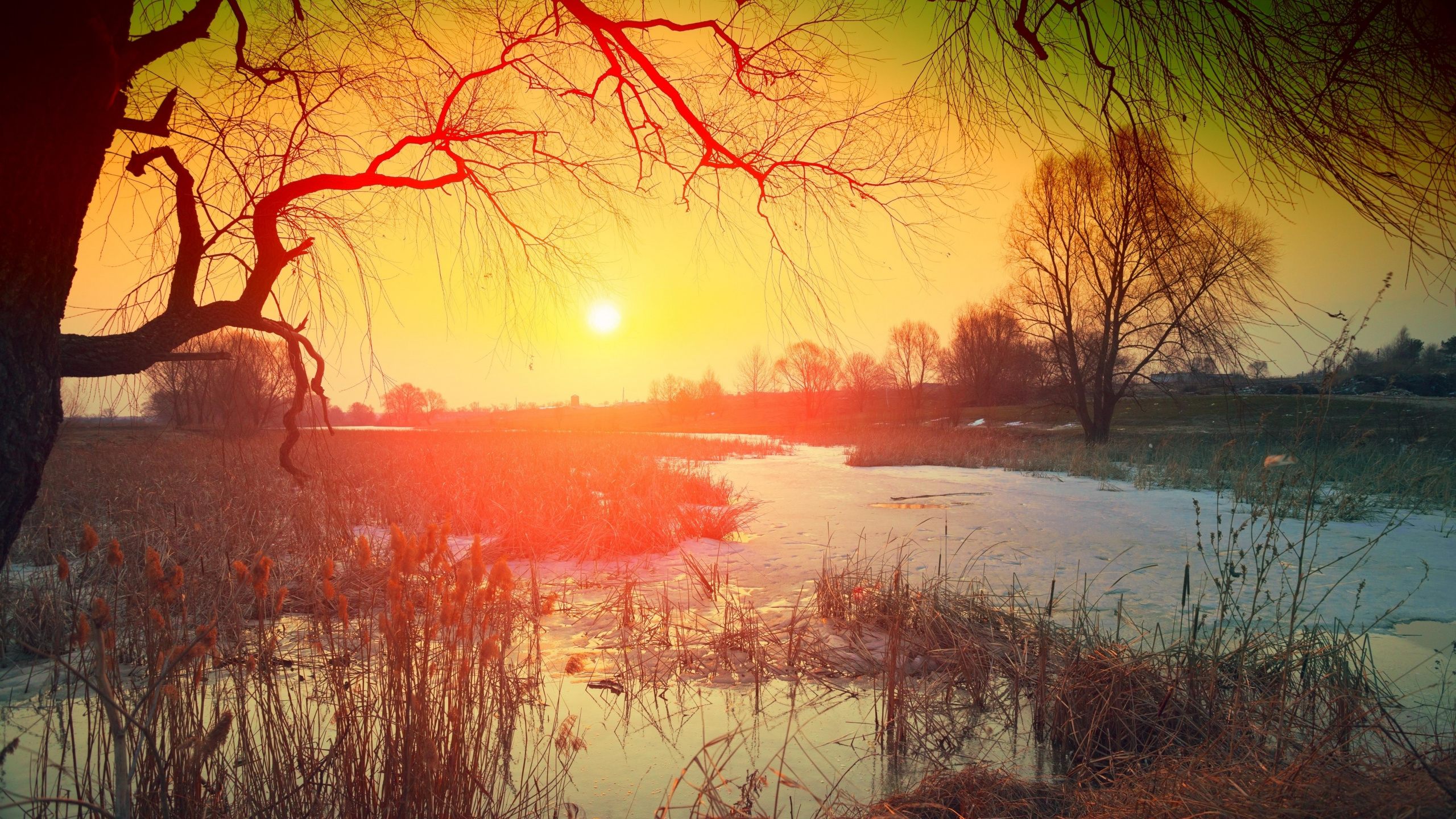 Обои природа, визуальное искусство, музыка для работы, живопись, музыка для изучения в разрешении 2560x1440