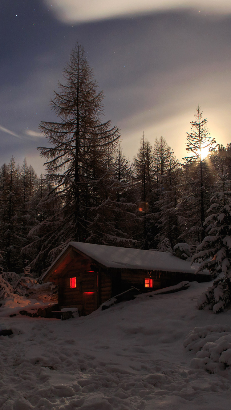 Обои снег, зима, дикая местность, дерево, замораживание в разрешении 750x1334