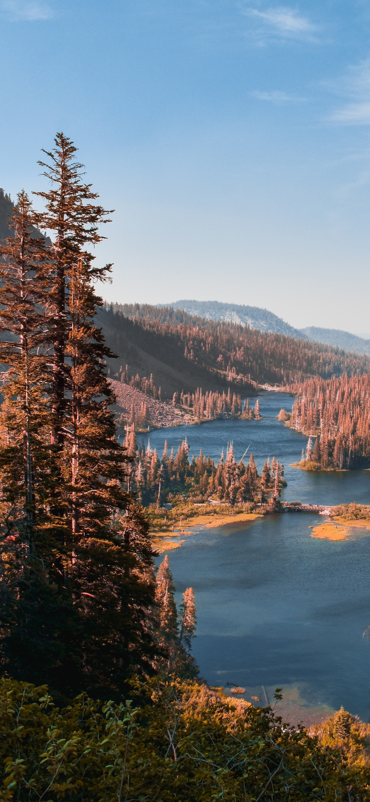 Обои дикая местность, дерево, пустыня, Твин Лейкс, природный ландшафт в разрешении 1242x2688