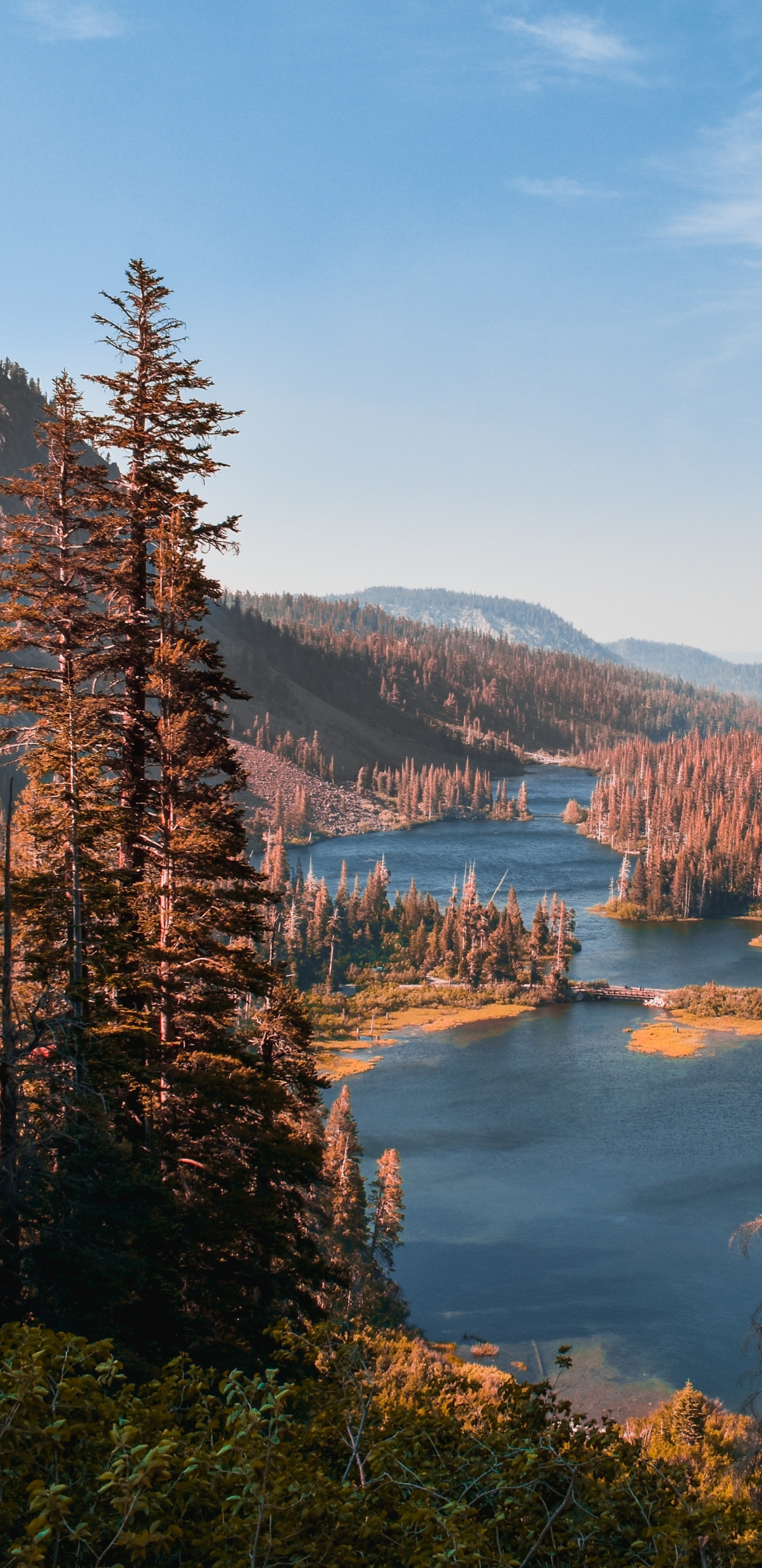 Обои дикая местность, дерево, пустыня, Твин Лейкс, природный ландшафт в разрешении 1440x2960