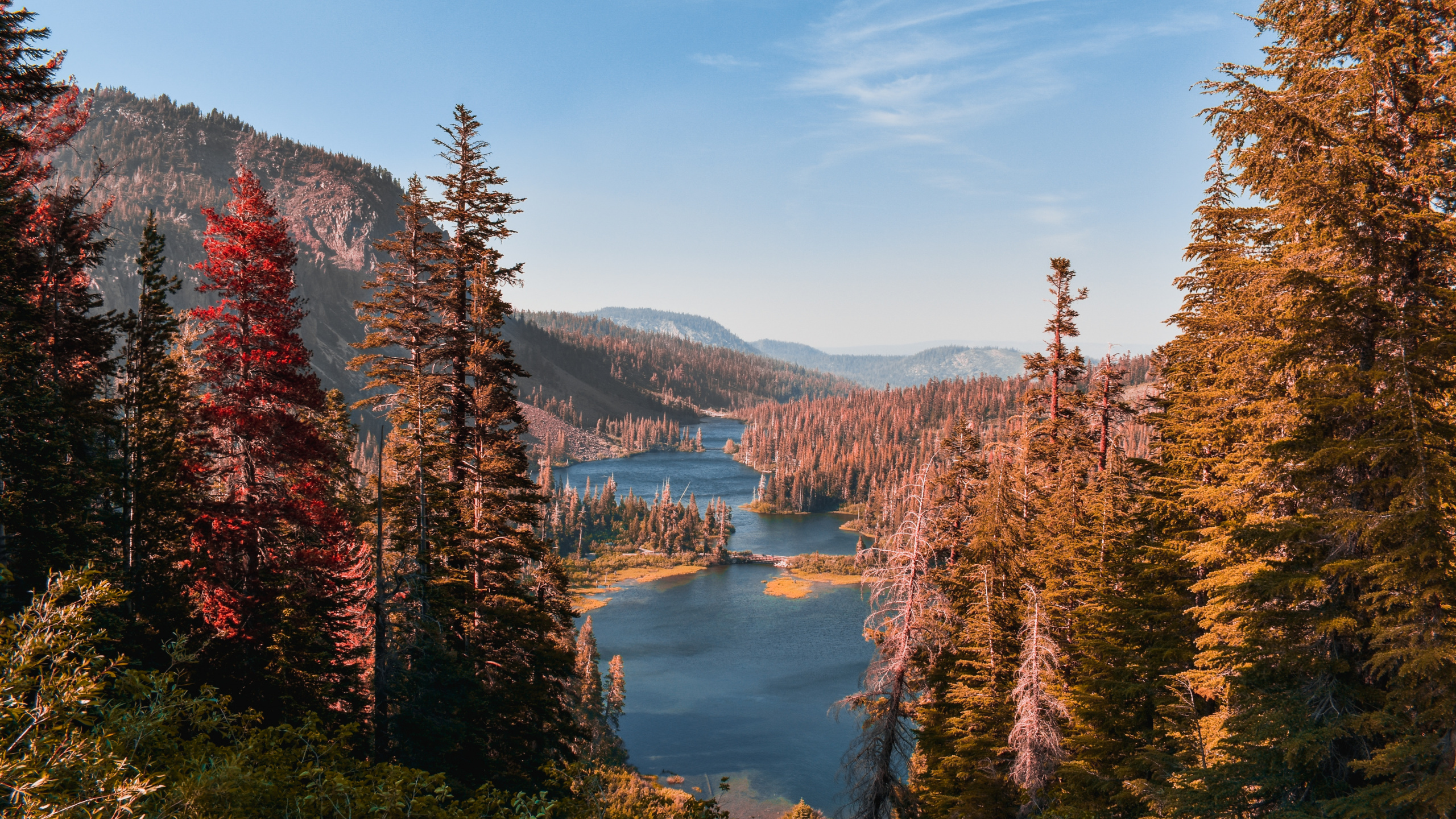 Обои дикая местность, дерево, пустыня, Твин Лейкс, природный ландшафт в разрешении 2560x1440
