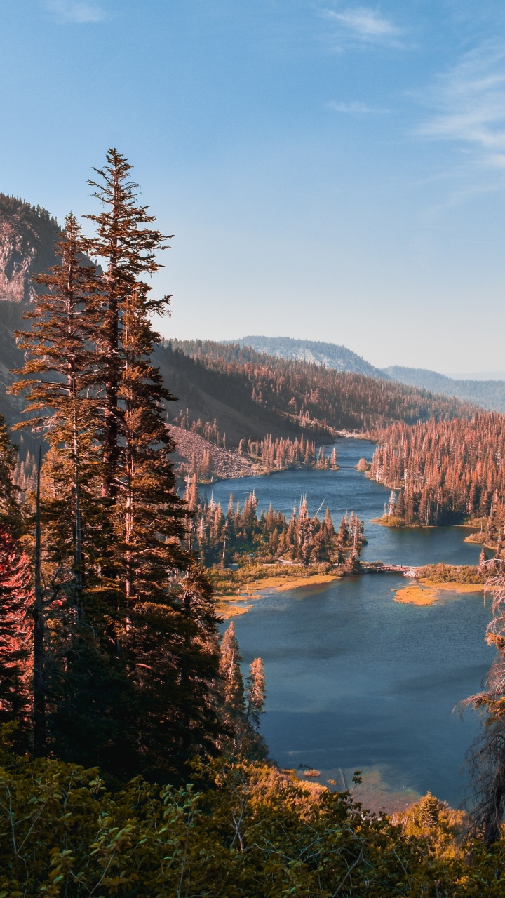 Обои дикая местность, дерево, пустыня, Твин Лейкс, природный ландшафт в разрешении 720x1280