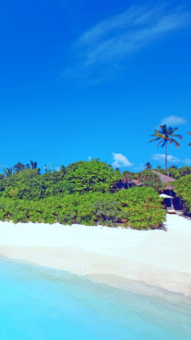 Обои прибежище, пляж, Остров, тропическая зона, море в разрешении 750x1334