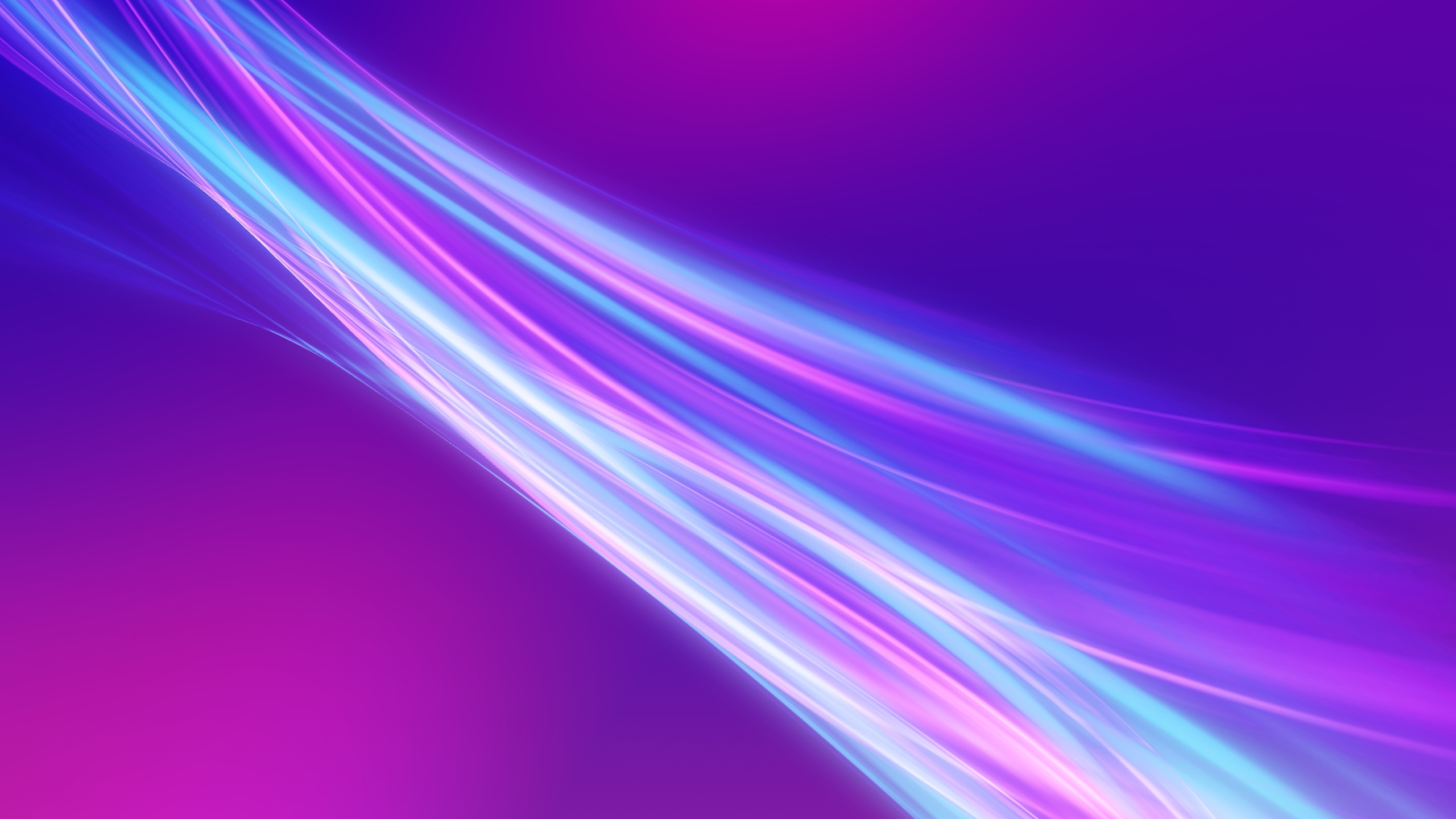 Обои Фиолетовый, пурпур, свет, розовый, линия в разрешении 2560x1440