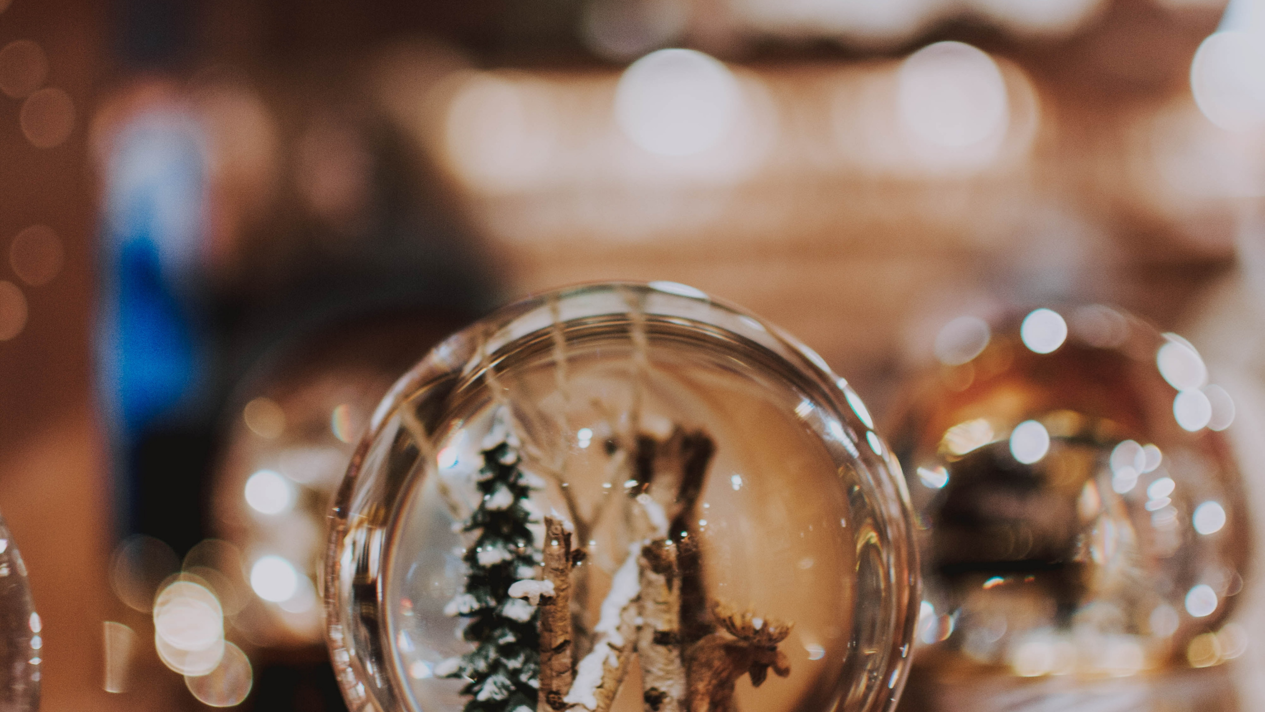 Обои мебель, фарфор, Хаус, дизайн интерьера, таблица в разрешении 2560x1440