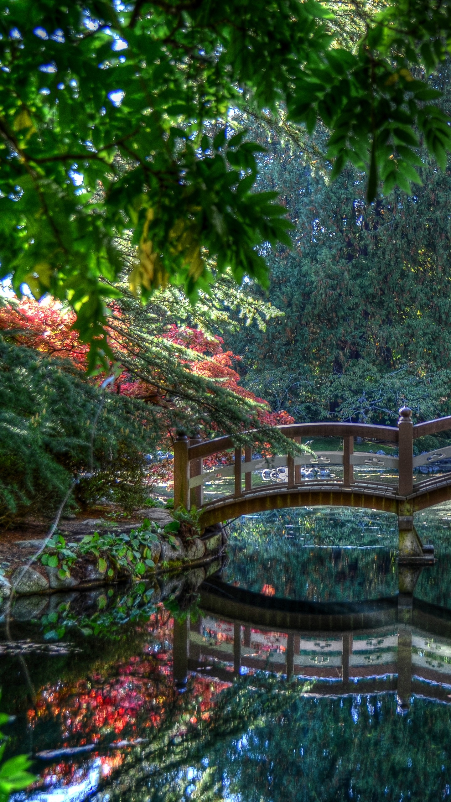 Обои природа, вода, растительность, зеленый, природный ландшафт в разрешении 1440x2560