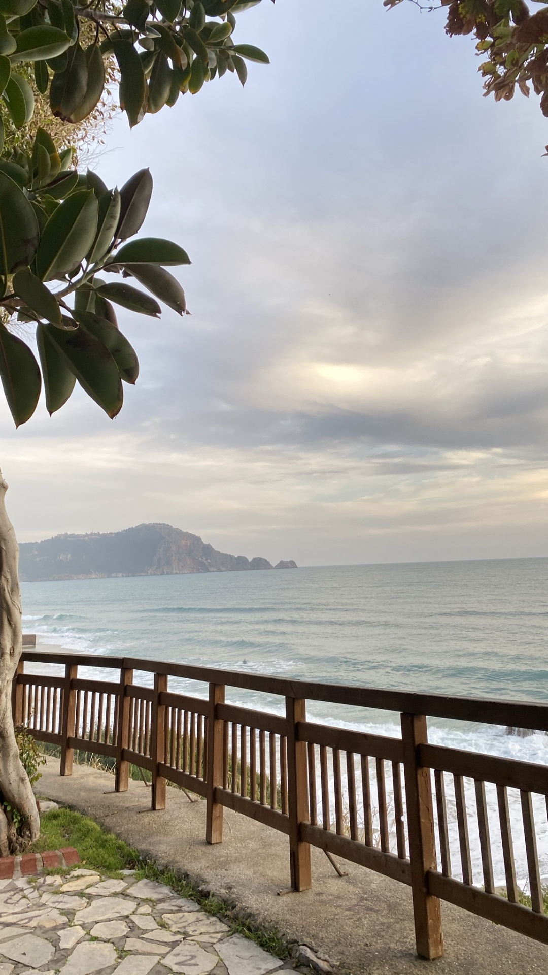 Обои море, пальмовые рощи, облако, вода, дневное время в разрешении 1080x1920