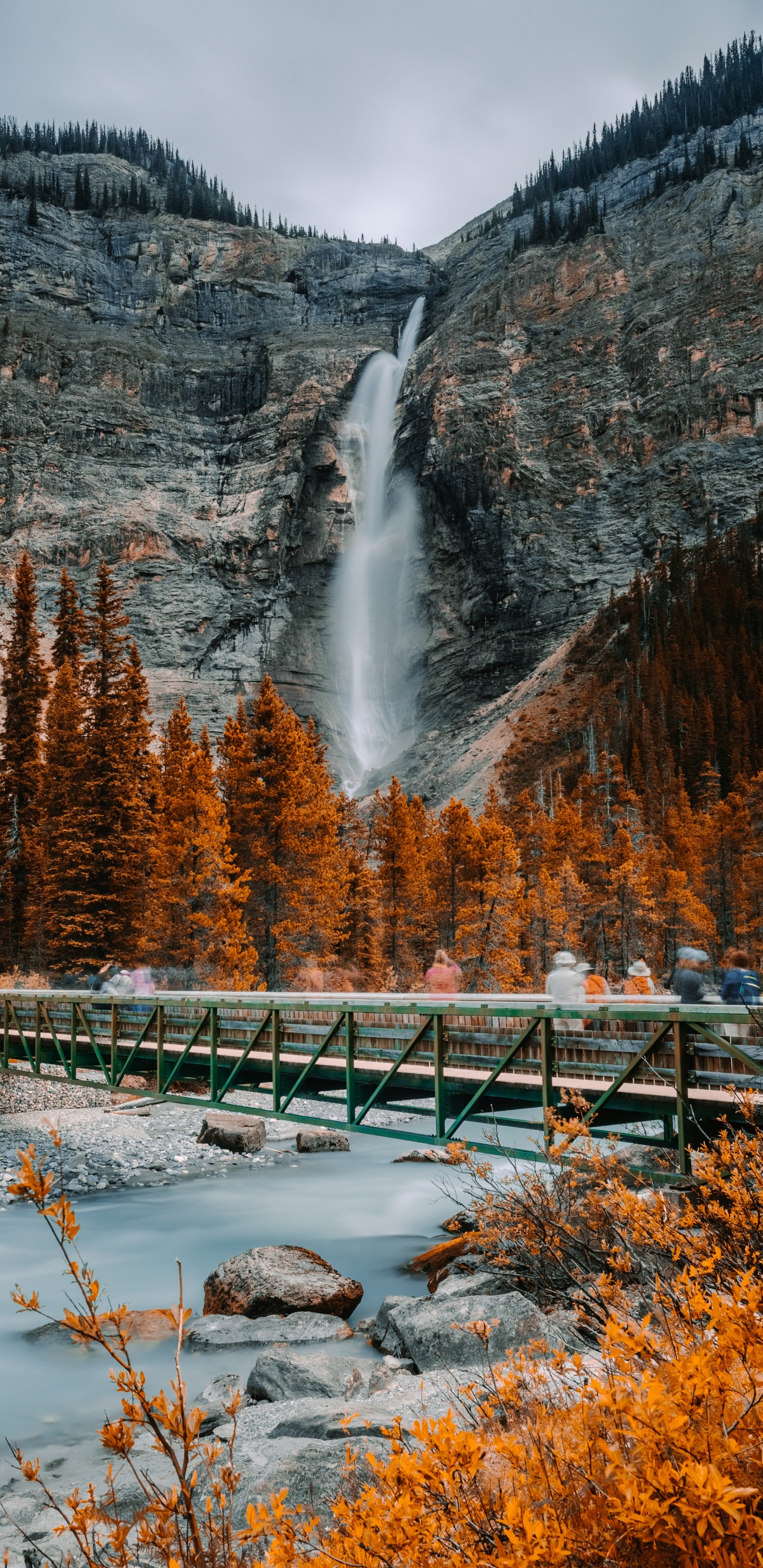 Обои Takakkaw Водопад, водопад, природа, природный ландшафт, вода в разрешении 1440x2960