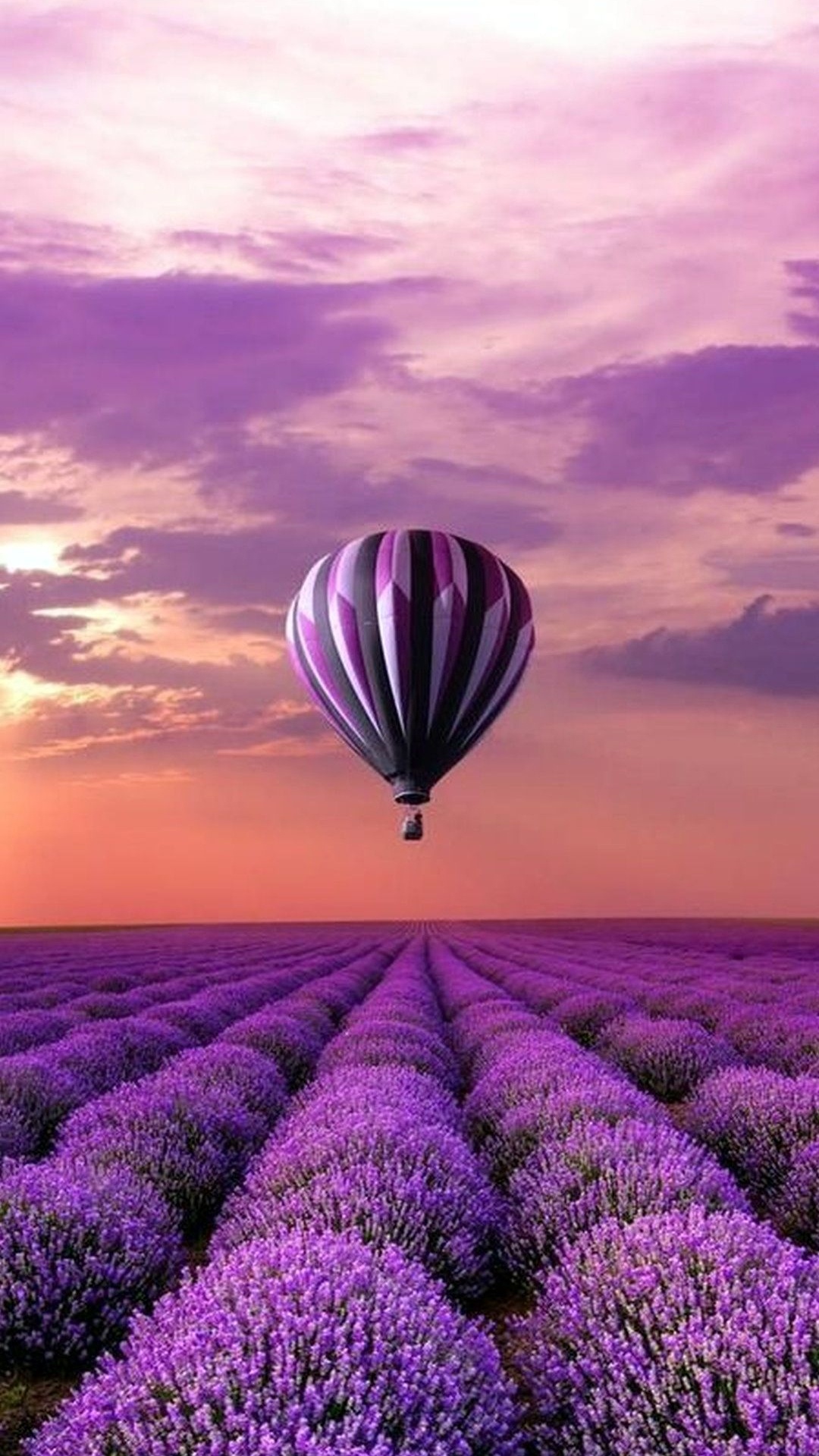 Обои пурпур, воздушный шарик, воздушный шар, лаванда, полеты на воздушном шаре в разрешении 1080x1920