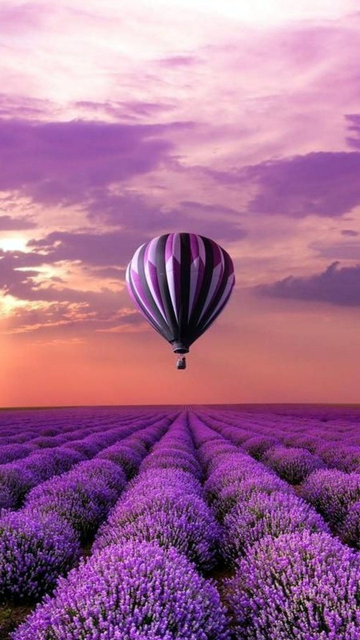 Обои пурпур, воздушный шарик, воздушный шар, лаванда, полеты на воздушном шаре в разрешении 720x1280