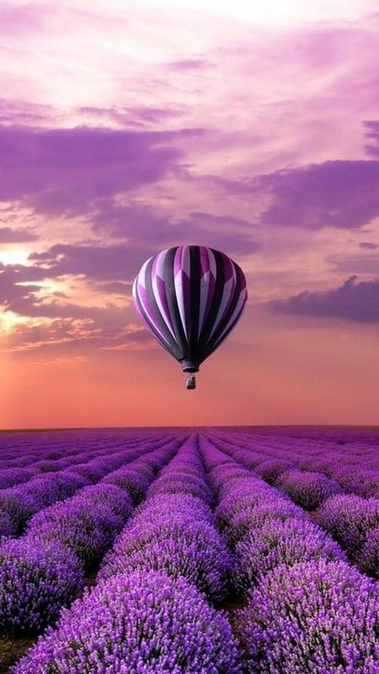 Обои пурпур, воздушный шарик, воздушный шар, лаванда, полеты на воздушном шаре в разрешении 750x1334