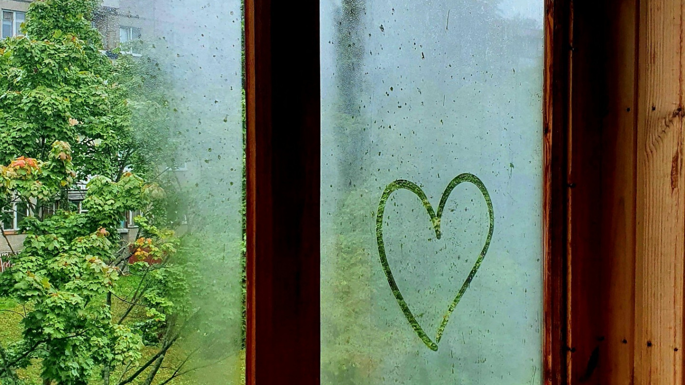 Обои окно, небьющиеся, свет, растение, древесина в разрешении 1366x768