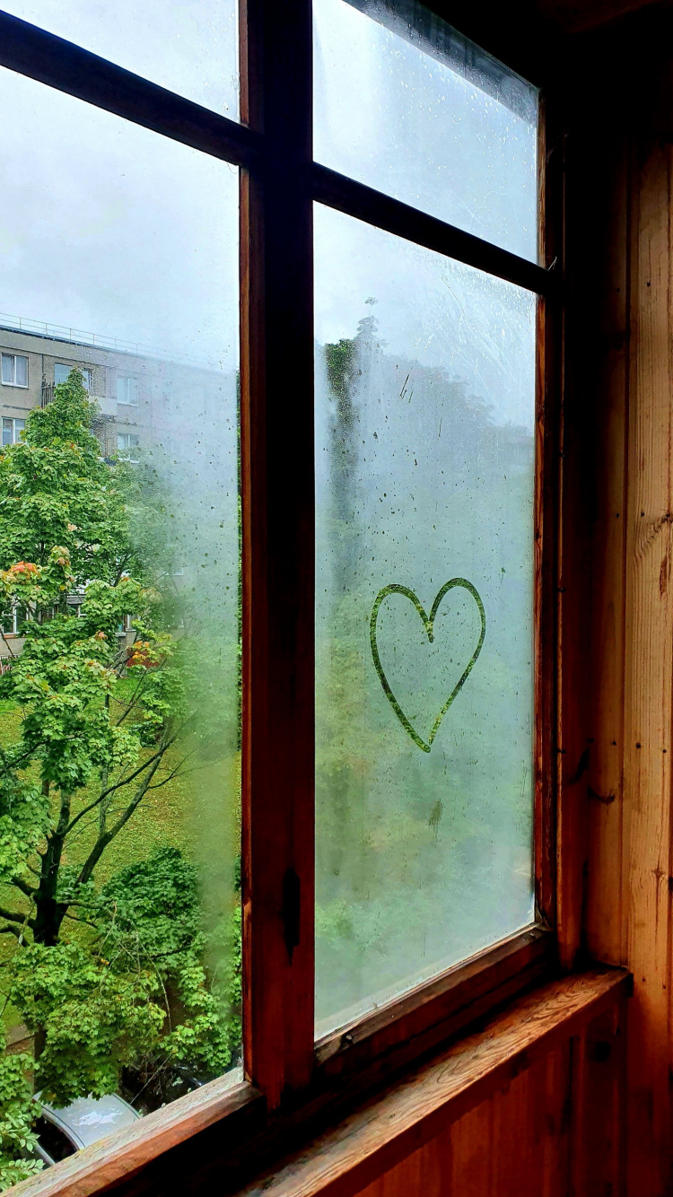 Обои окно, небьющиеся, свет, растение, древесина в разрешении 750x1334