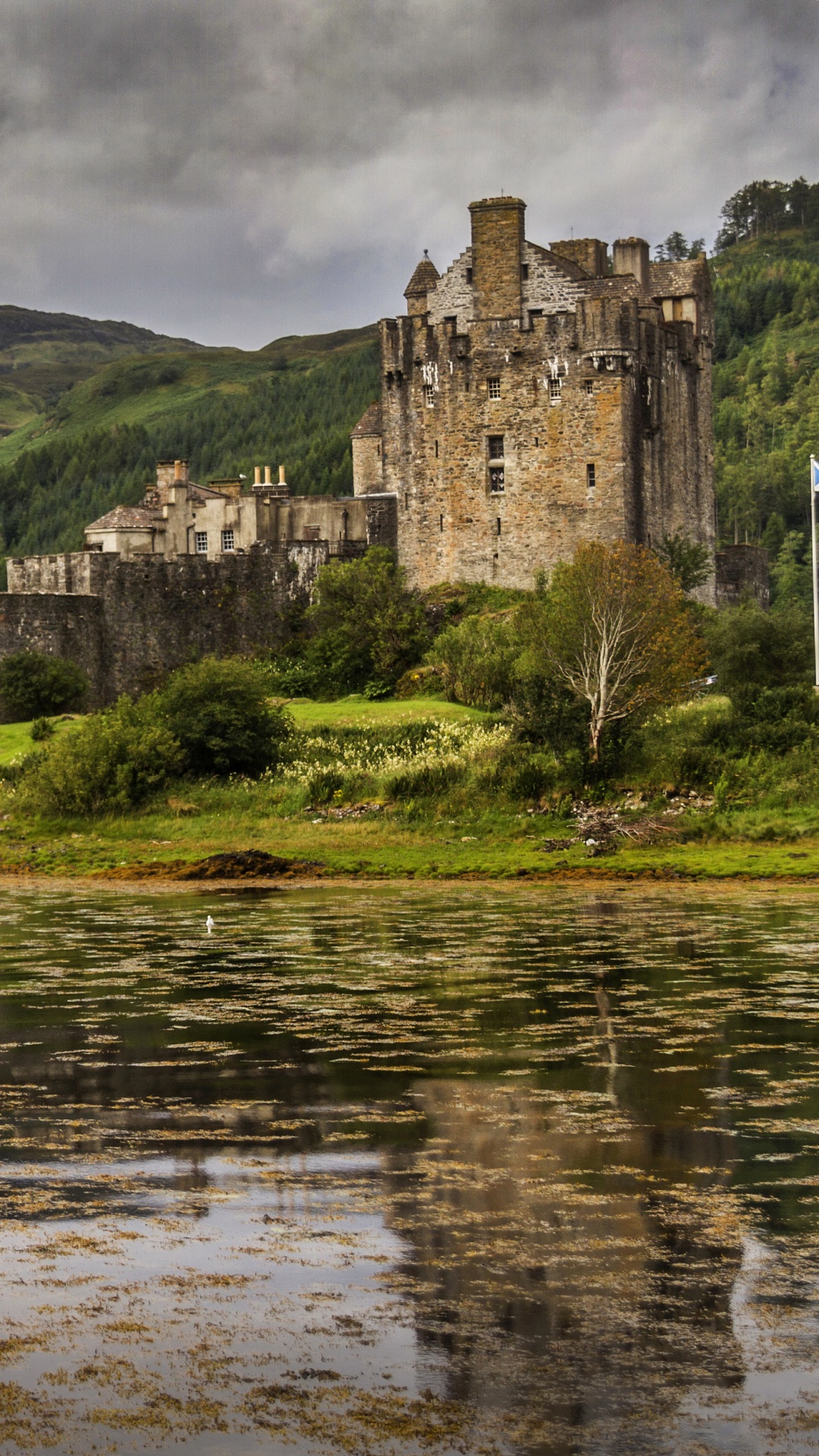 Обои Лох Duich, замок, Замковый мост, Замок Эйлен Донан, мост в разрешении 1080x1920