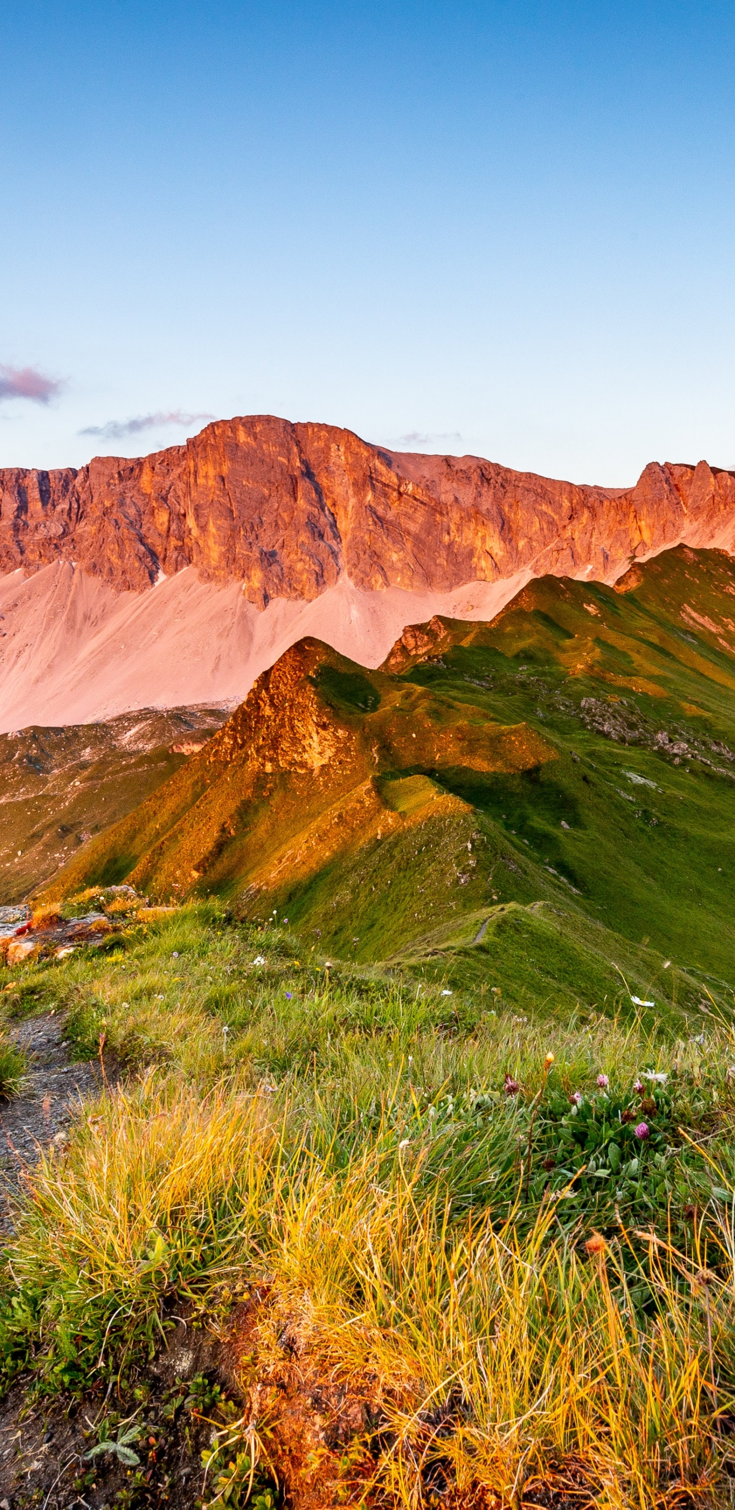 Обои пейзаж, облако, гора, растение, природный ландшафт в разрешении 1440x2960