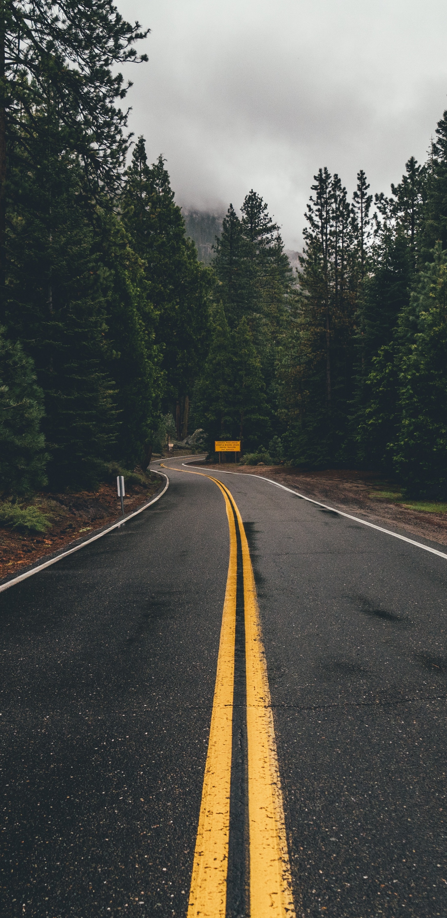 Обои Apple МасВоок Pro, macbook, макбук Эйр, дорога, магистраль в разрешении 1440x2960