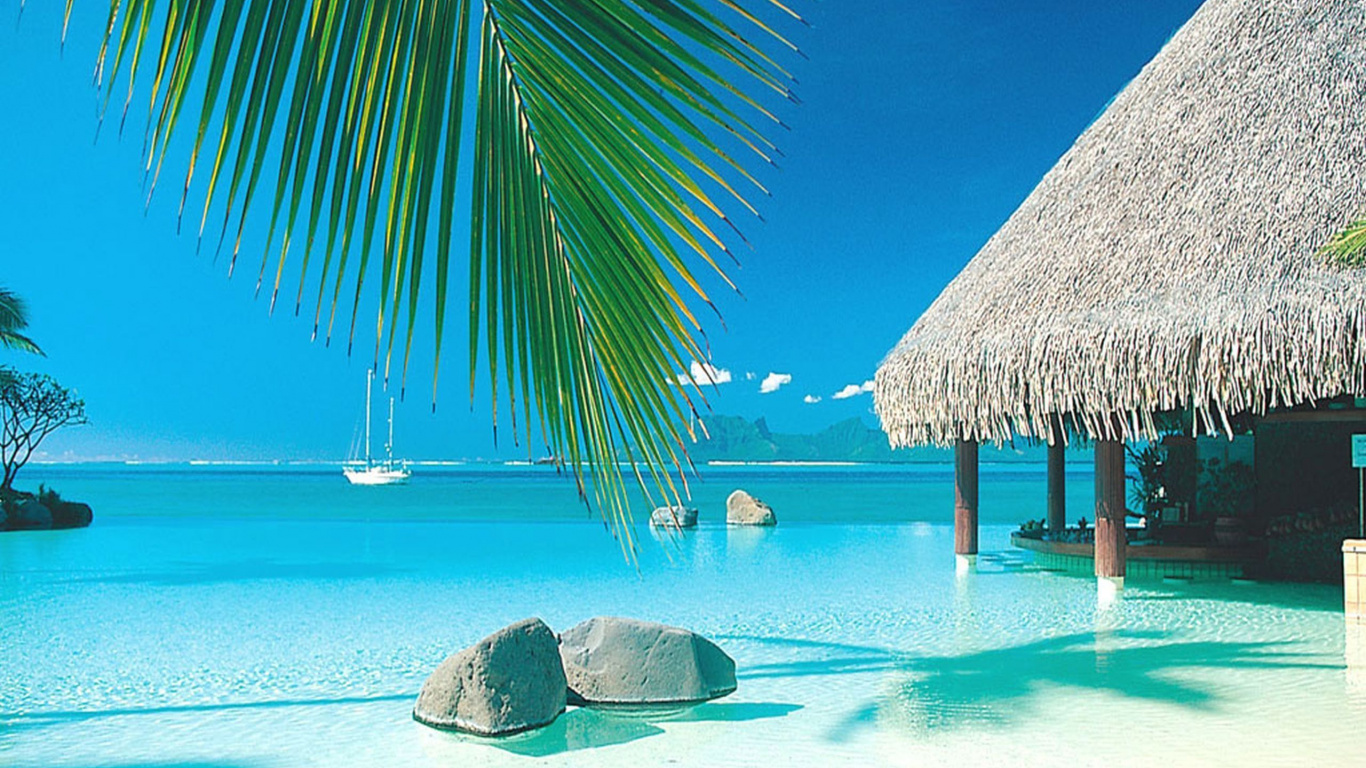 Обои тропическая зона, отпуск, Карибский бассейн, Пальма, вода в разрешении 1366x768