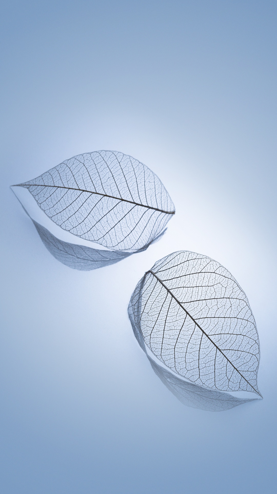 Обои Xiaomi, Xiaomi Redmi K20 Pro, редми 8а, xiaomi mi 9, Redmi Go в разрешении 1080x1920