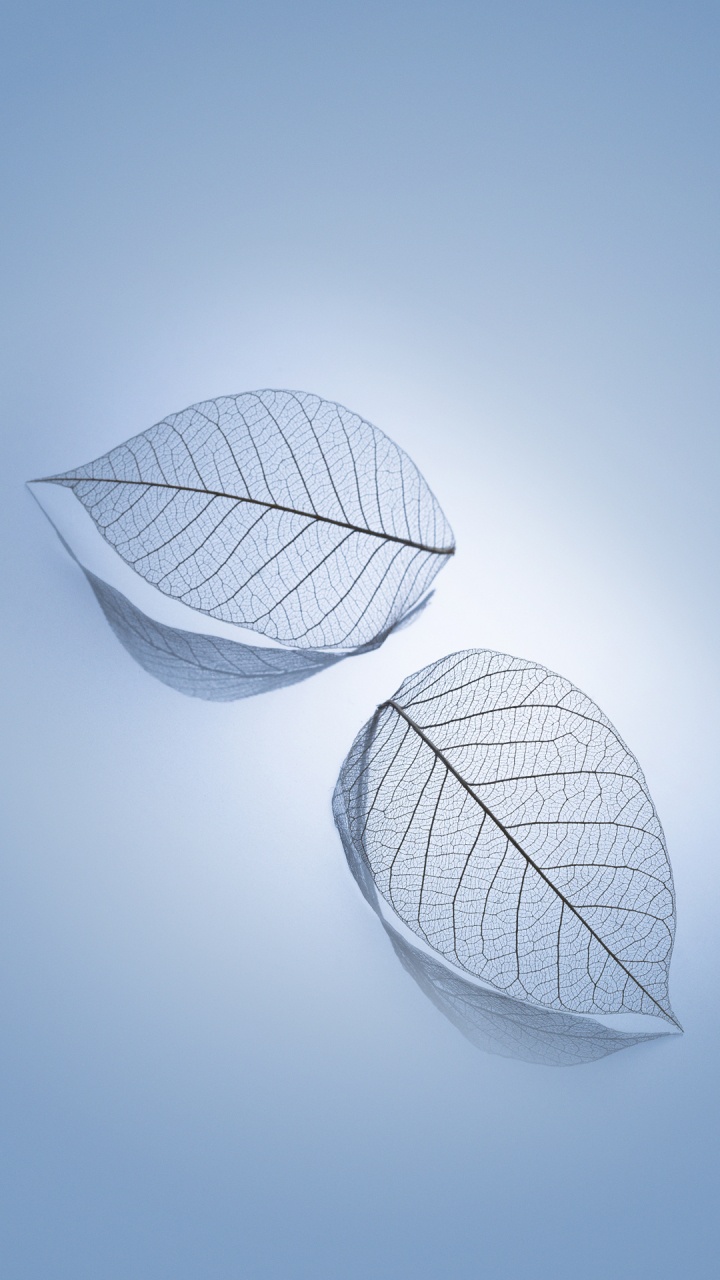 Обои Xiaomi, Xiaomi Redmi K20 Pro, редми 8а, xiaomi mi 9, Redmi Go в разрешении 720x1280