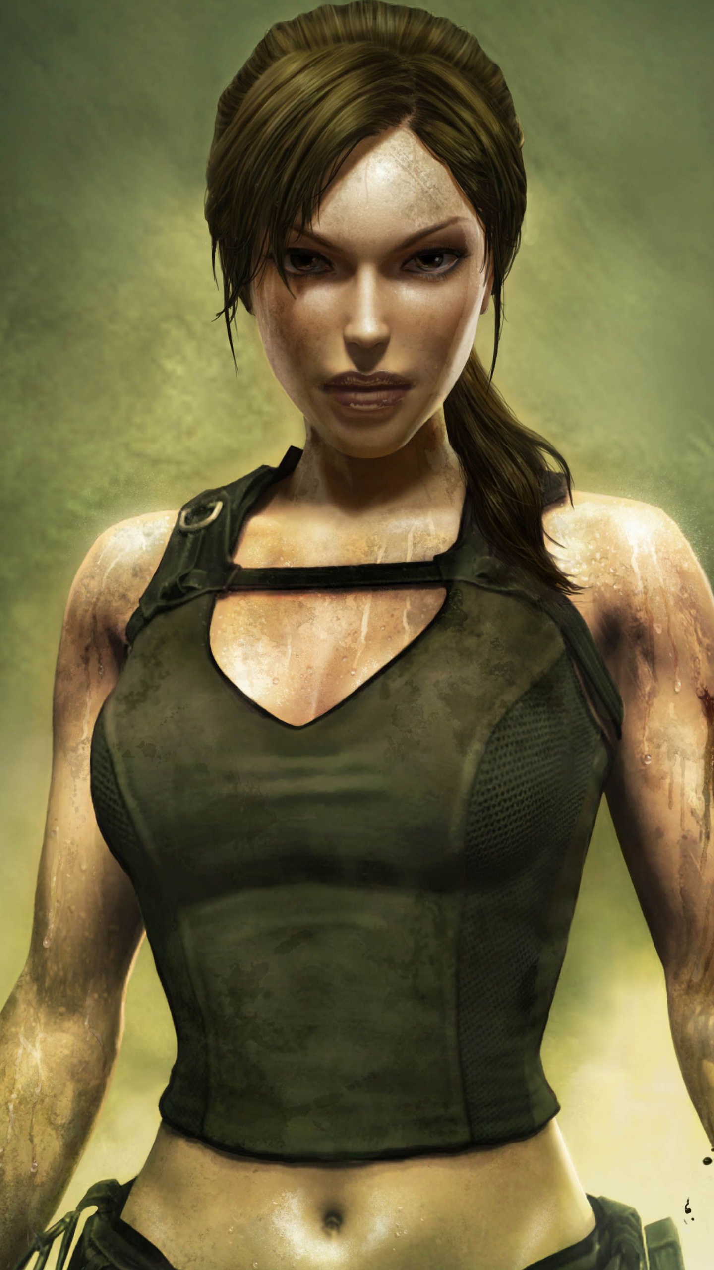 Обои лары крофт, рейдовик, Тени гробниц, рейдовика усыпальницы, tomb raider anniversary в разрешении 1440x2560