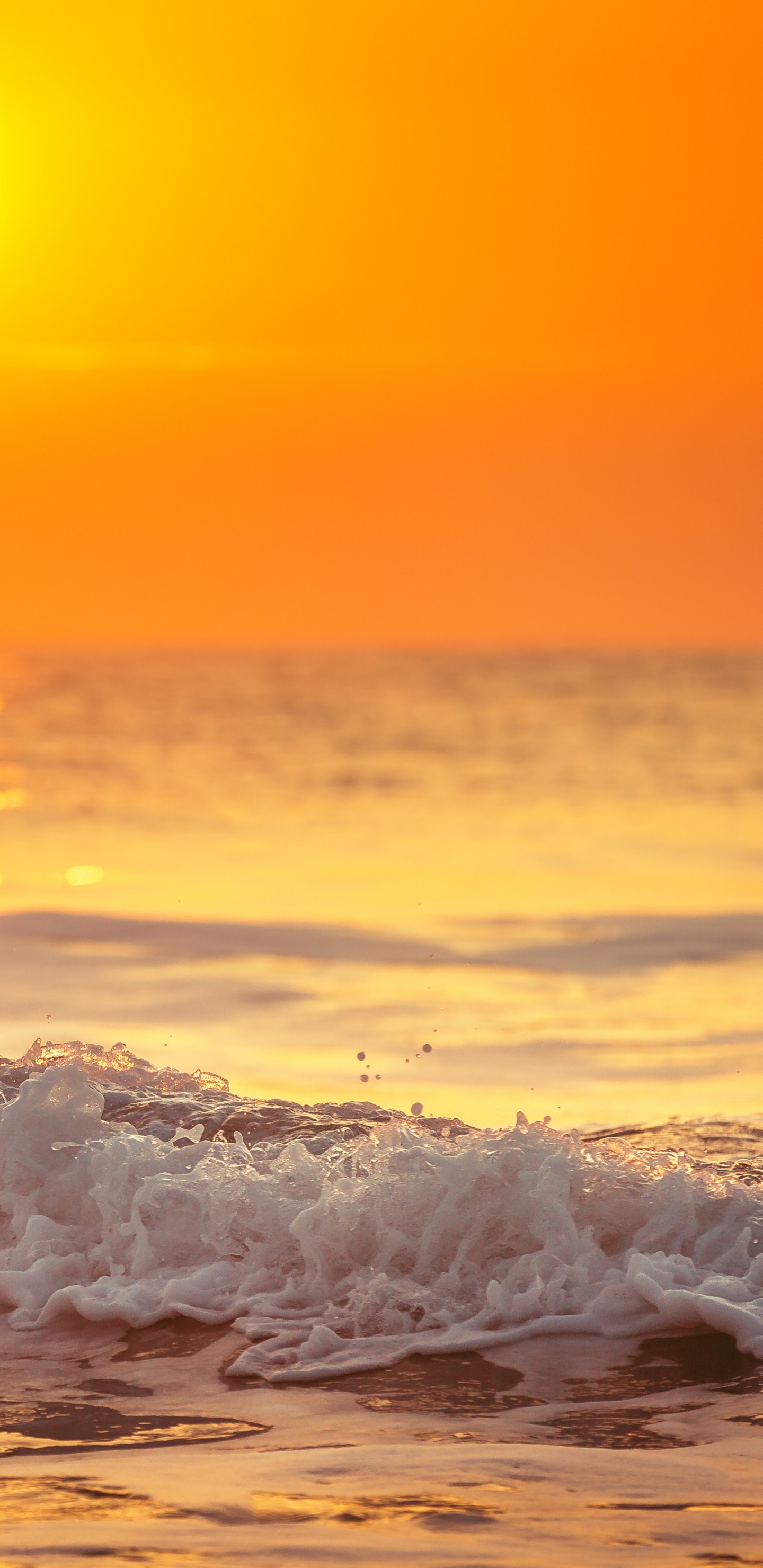 Обои восход солнца, океан, море, закат, горизонт в разрешении 1440x2960