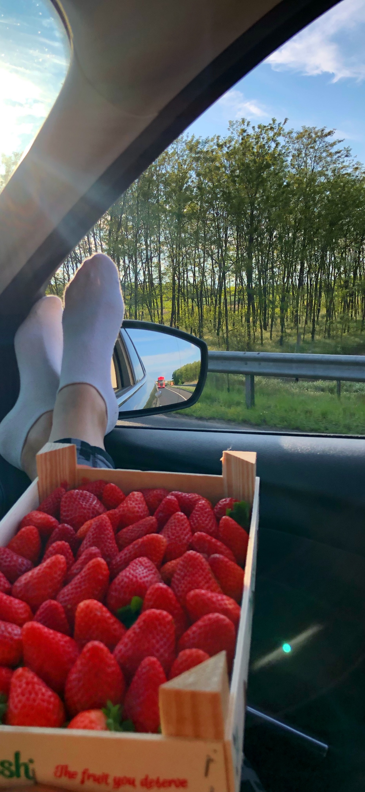 Обои местное блюдо, клубника, биология, наука, автомобильное зеркало в разрешении 1242x2688