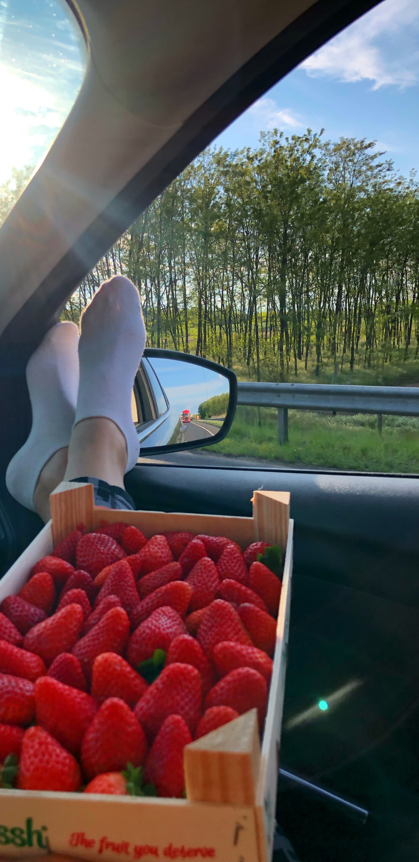 Обои местное блюдо, клубника, биология, наука, автомобильное зеркало в разрешении 1440x2960