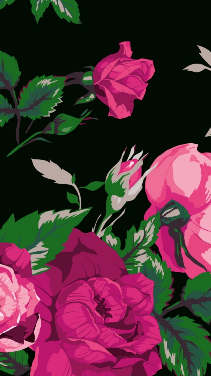 Обои Роза, цветок, цветочный дизайн, цветковое растение, сад роз в разрешении 720x1280