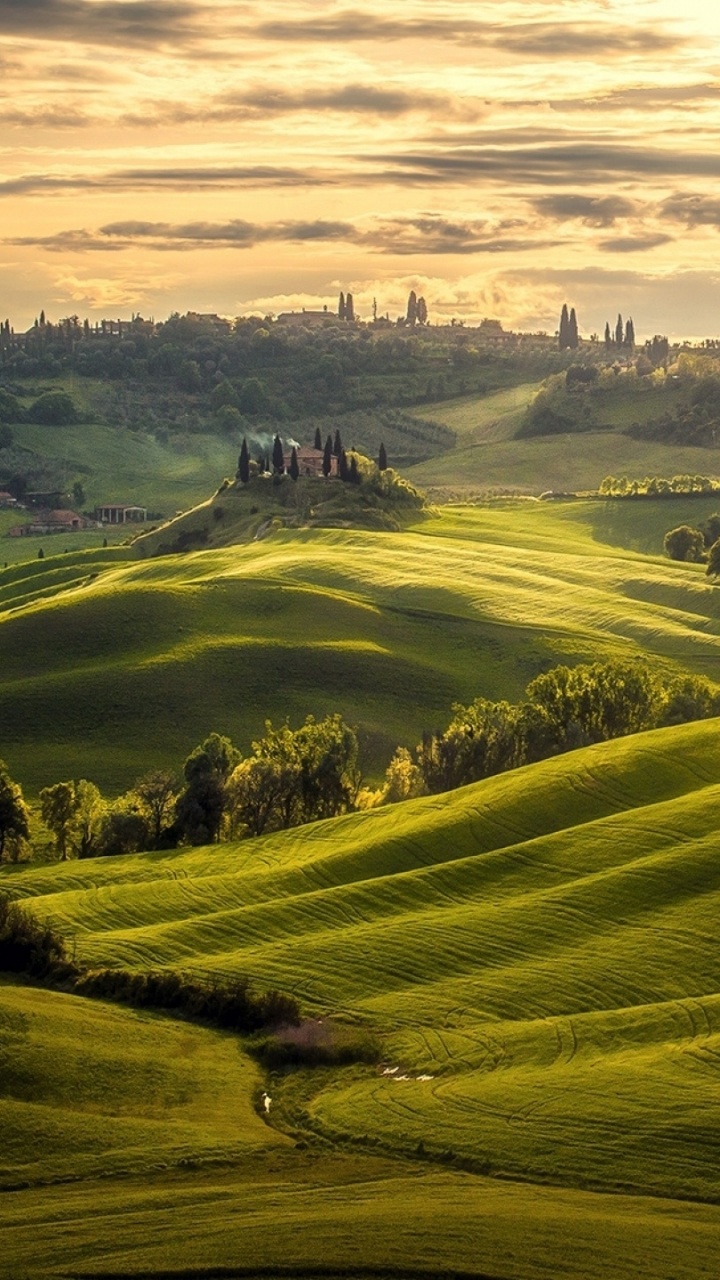 Обои природа, холм, сенокосное угодье, утро, нагорье в разрешении 720x1280