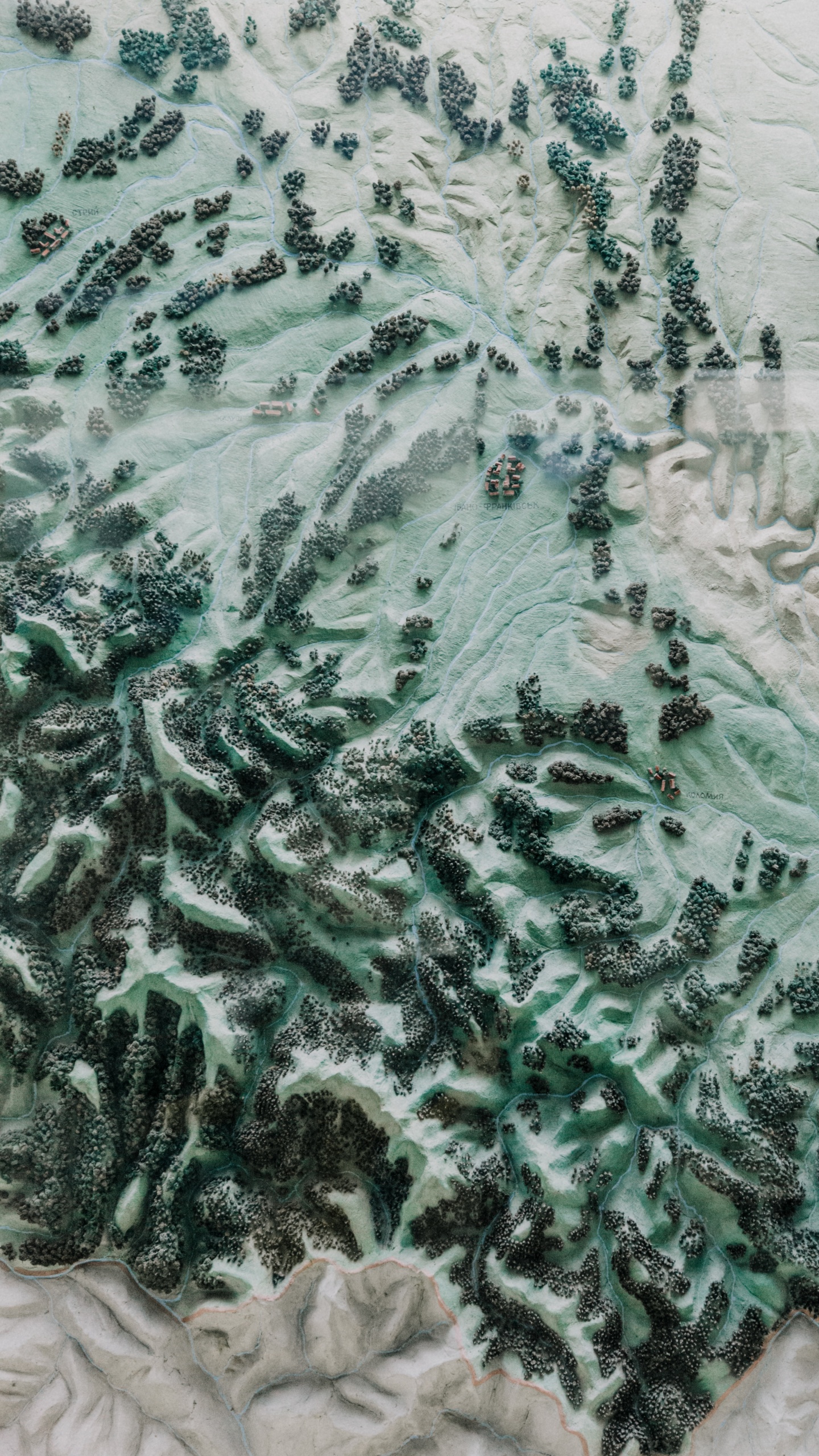 Обои зеленый, военный камуфляж, узор, дерево, ткань в разрешении 1440x2560