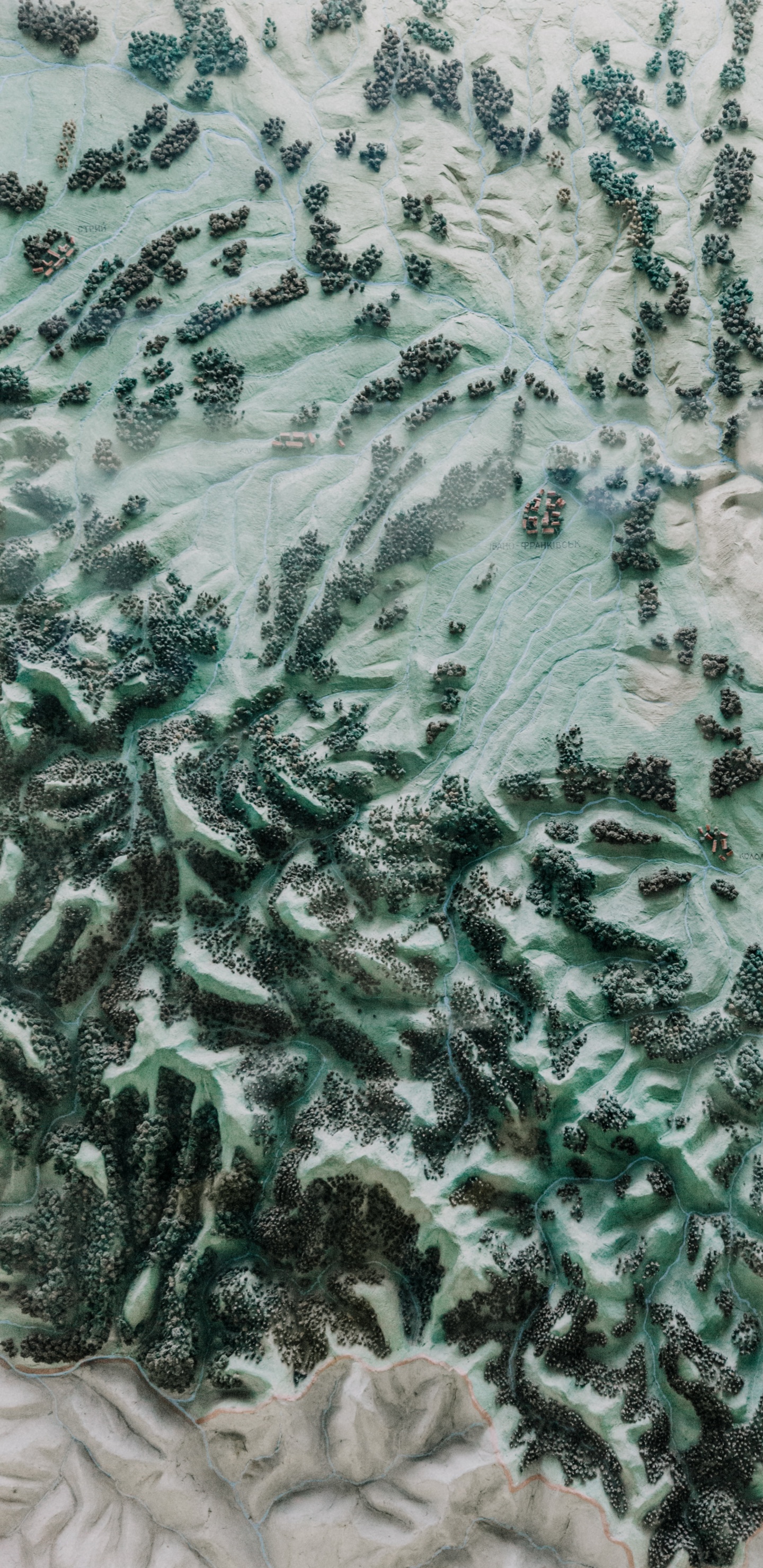 Обои зеленый, военный камуфляж, узор, дерево, ткань в разрешении 1440x2960