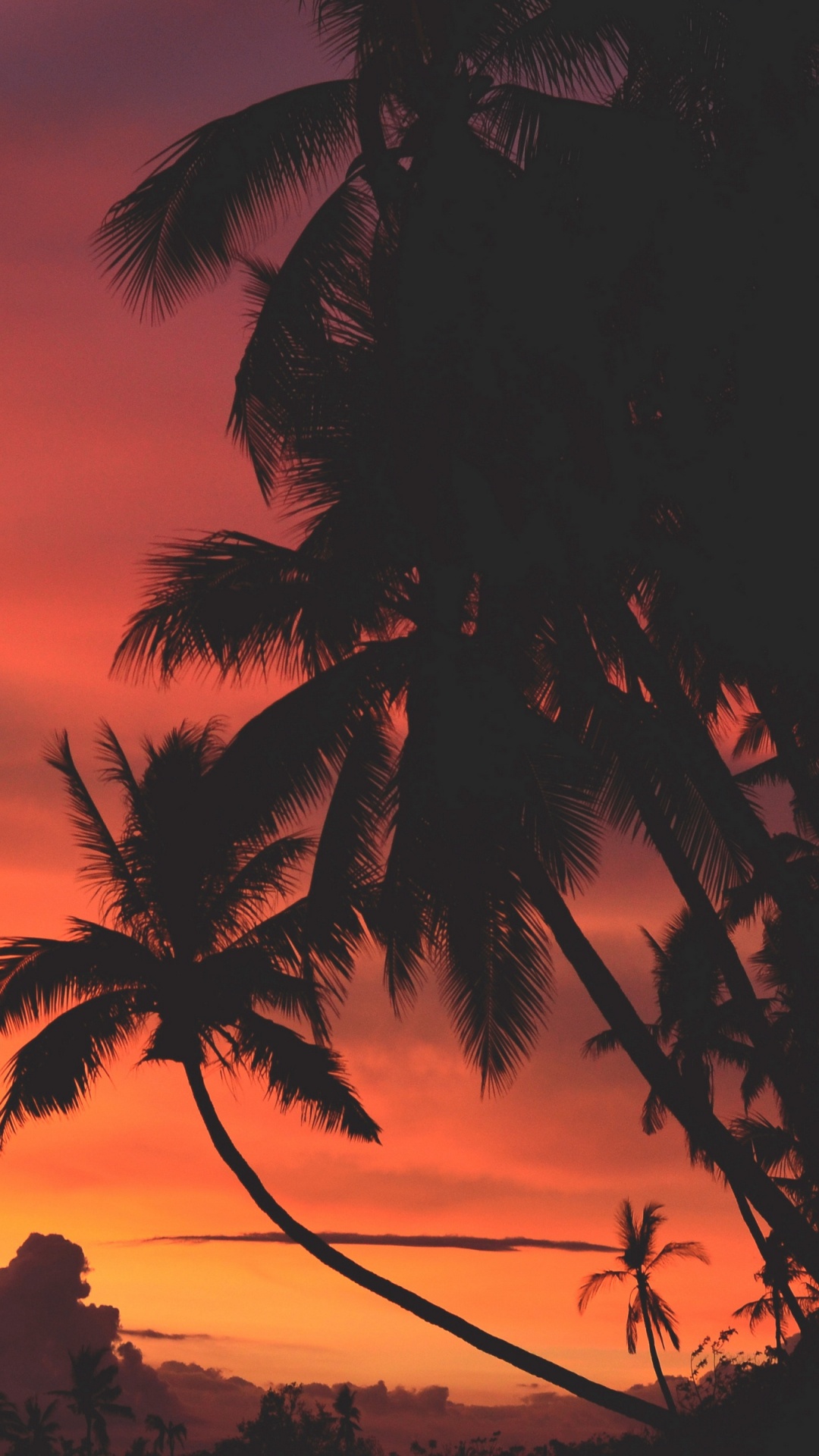 Обои закат, восход солнца, послесвечение, облако, небо в разрешении 1080x1920