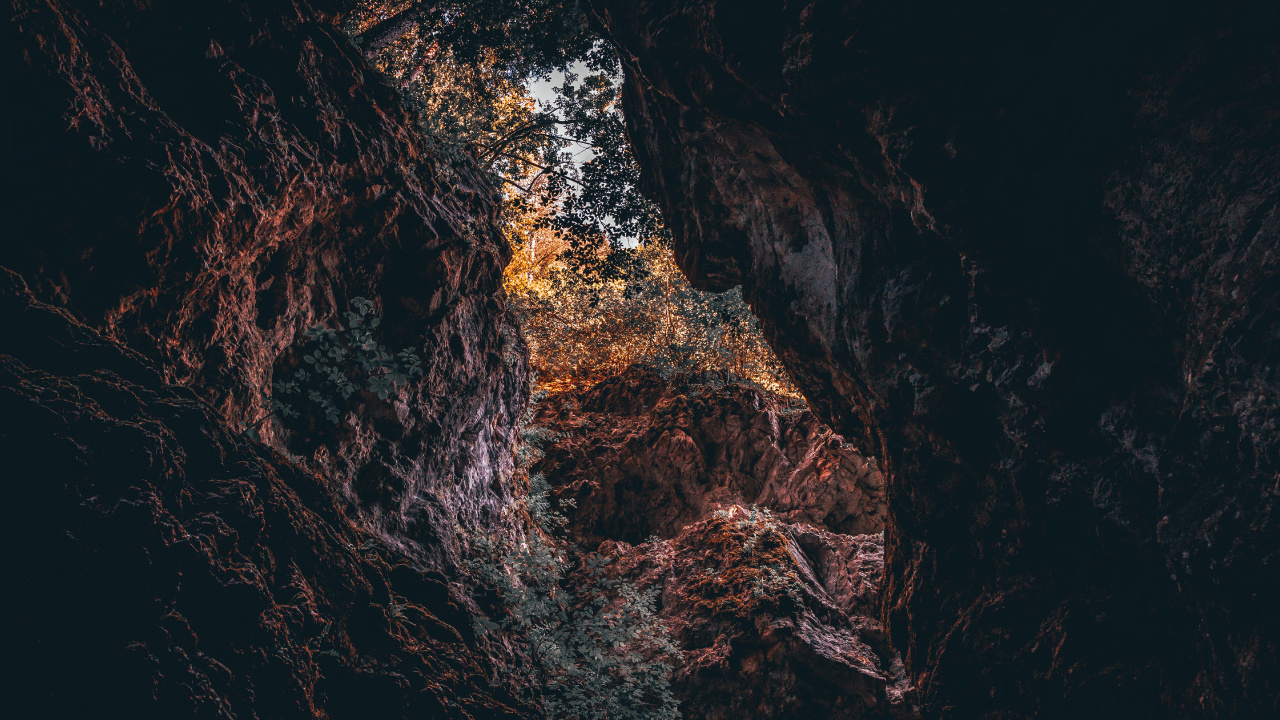 Обои черный, коричневый цвет, вода, дерево, рок в разрешении 1280x720