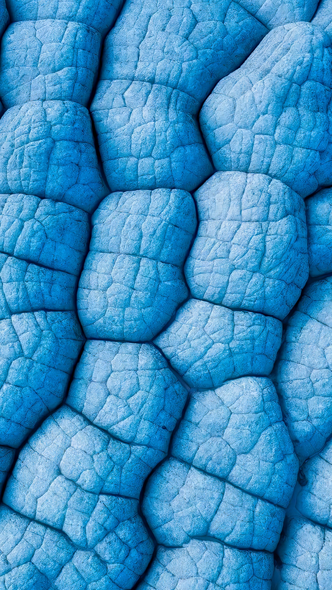 Обои лист, синий, лазурный, жидкость, Аква в разрешении 1080x1920