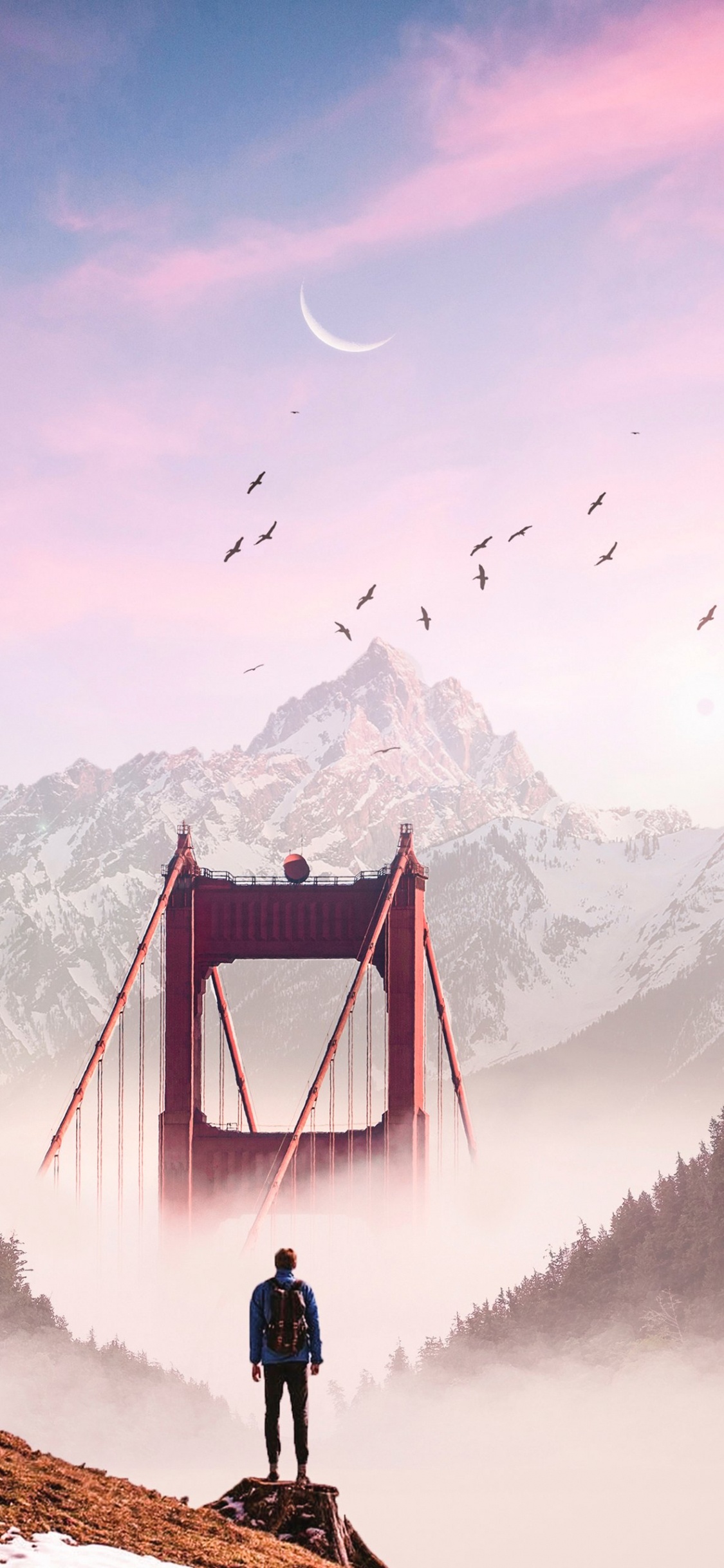 Обои облако, гора, птица, природа, снег в разрешении 1125x2436